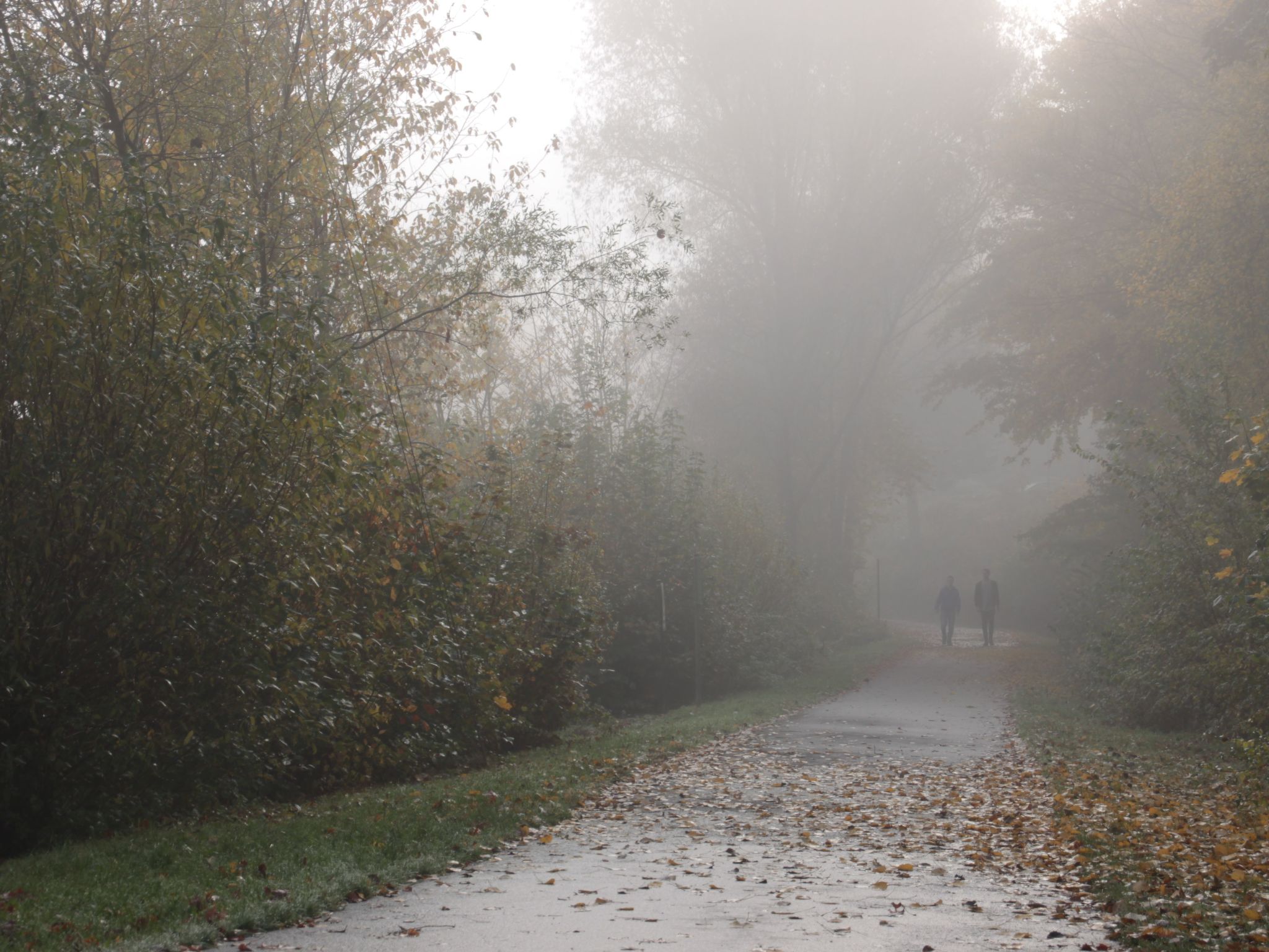BärenNest Haus-Drinnen