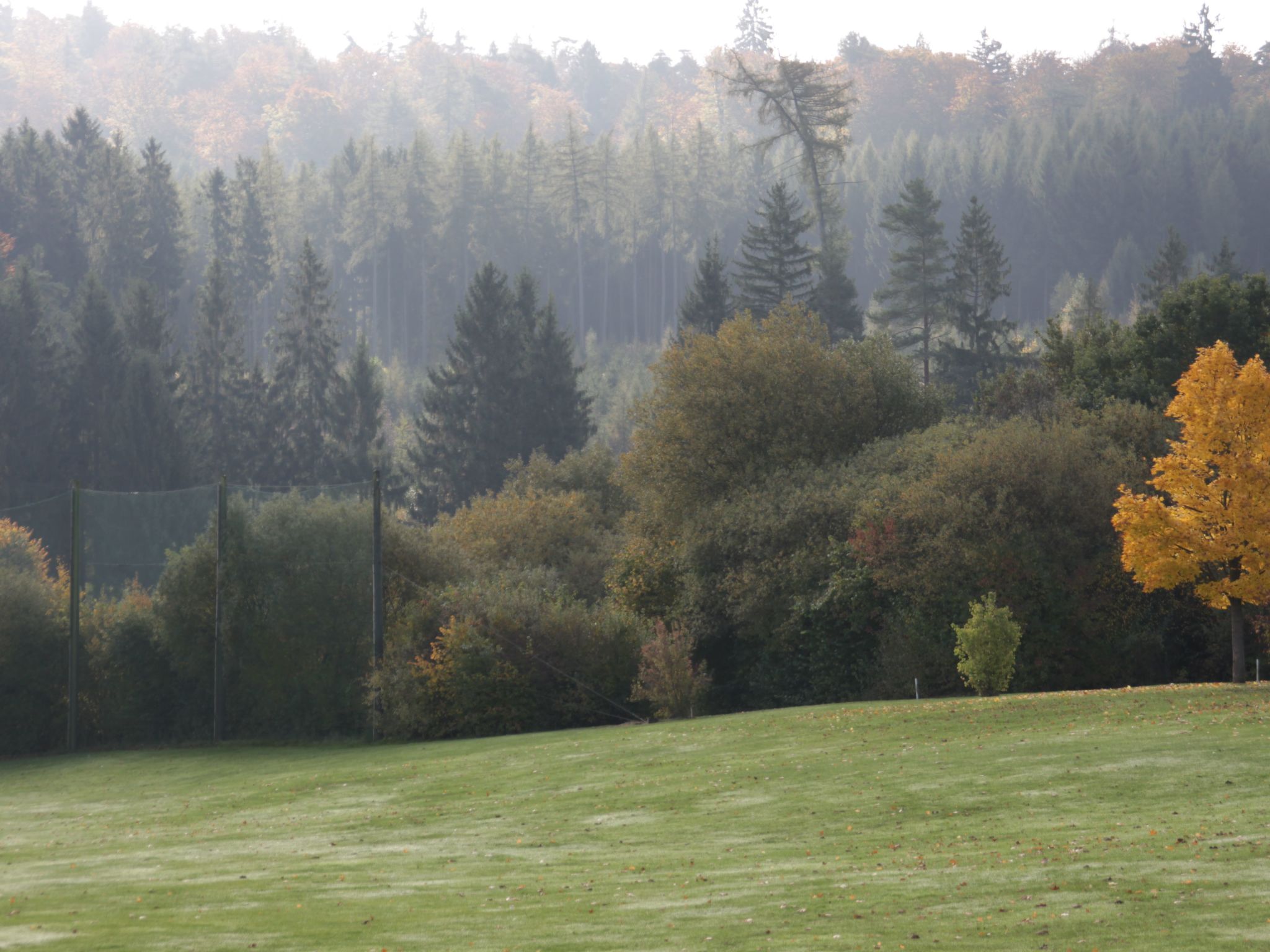 Cat'n'Boots Haus-Binnen