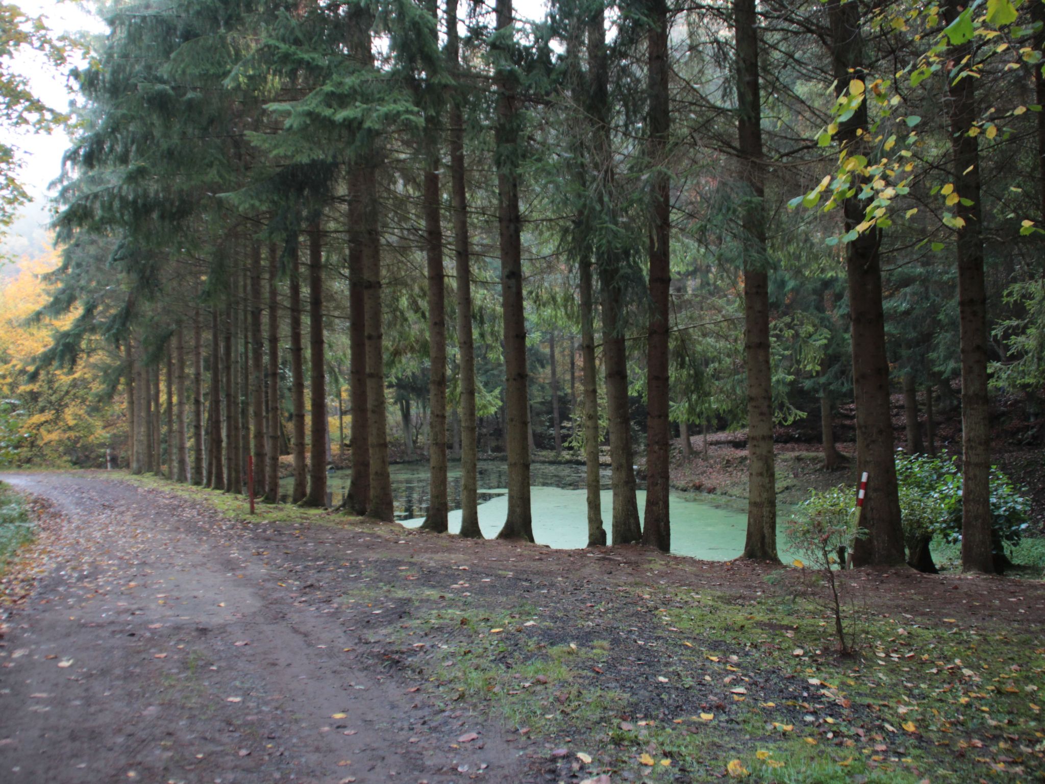 Cat'n'Boots Haus-Binnen