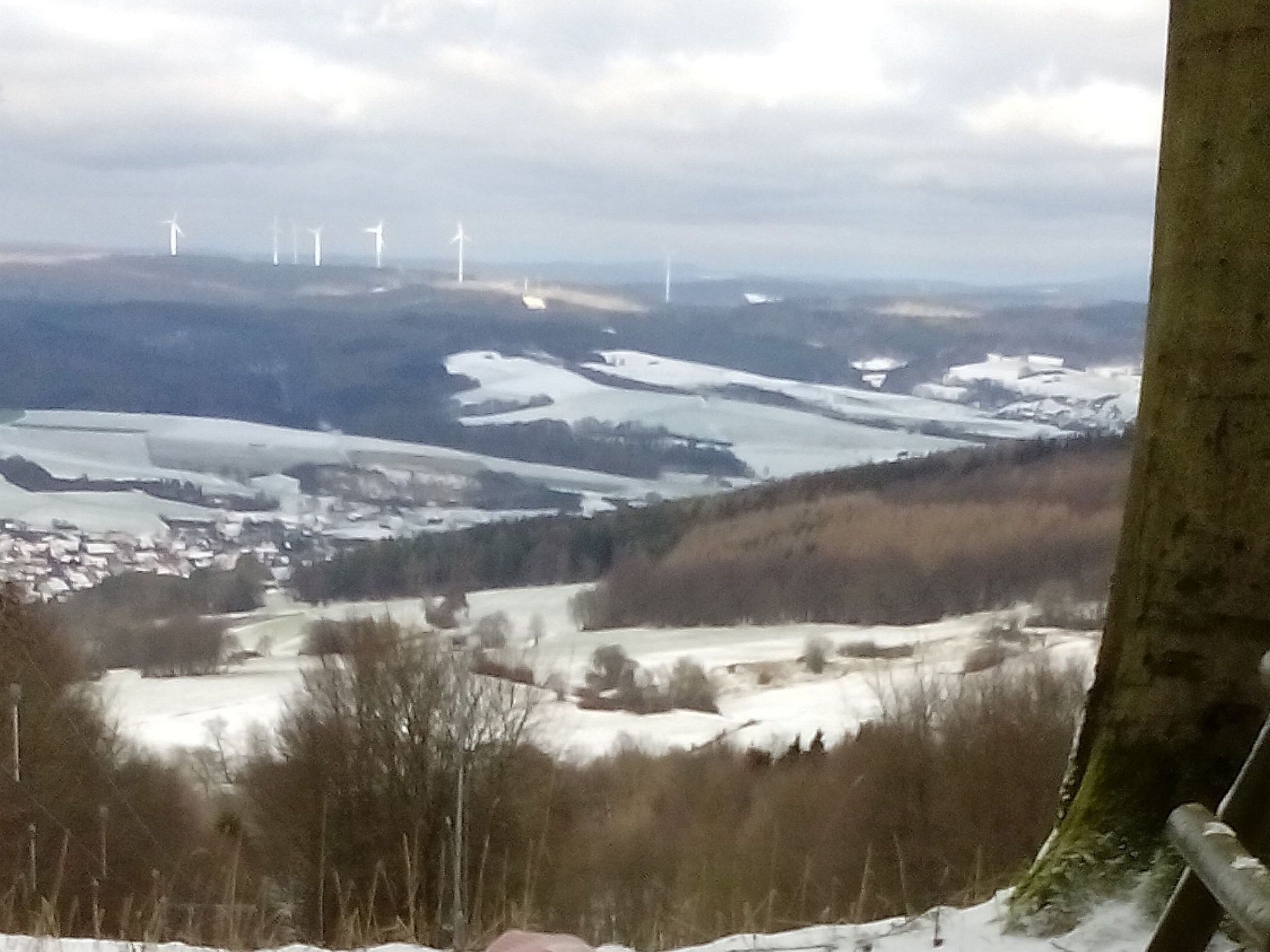 Cat'n'Boots Haus-Binnen