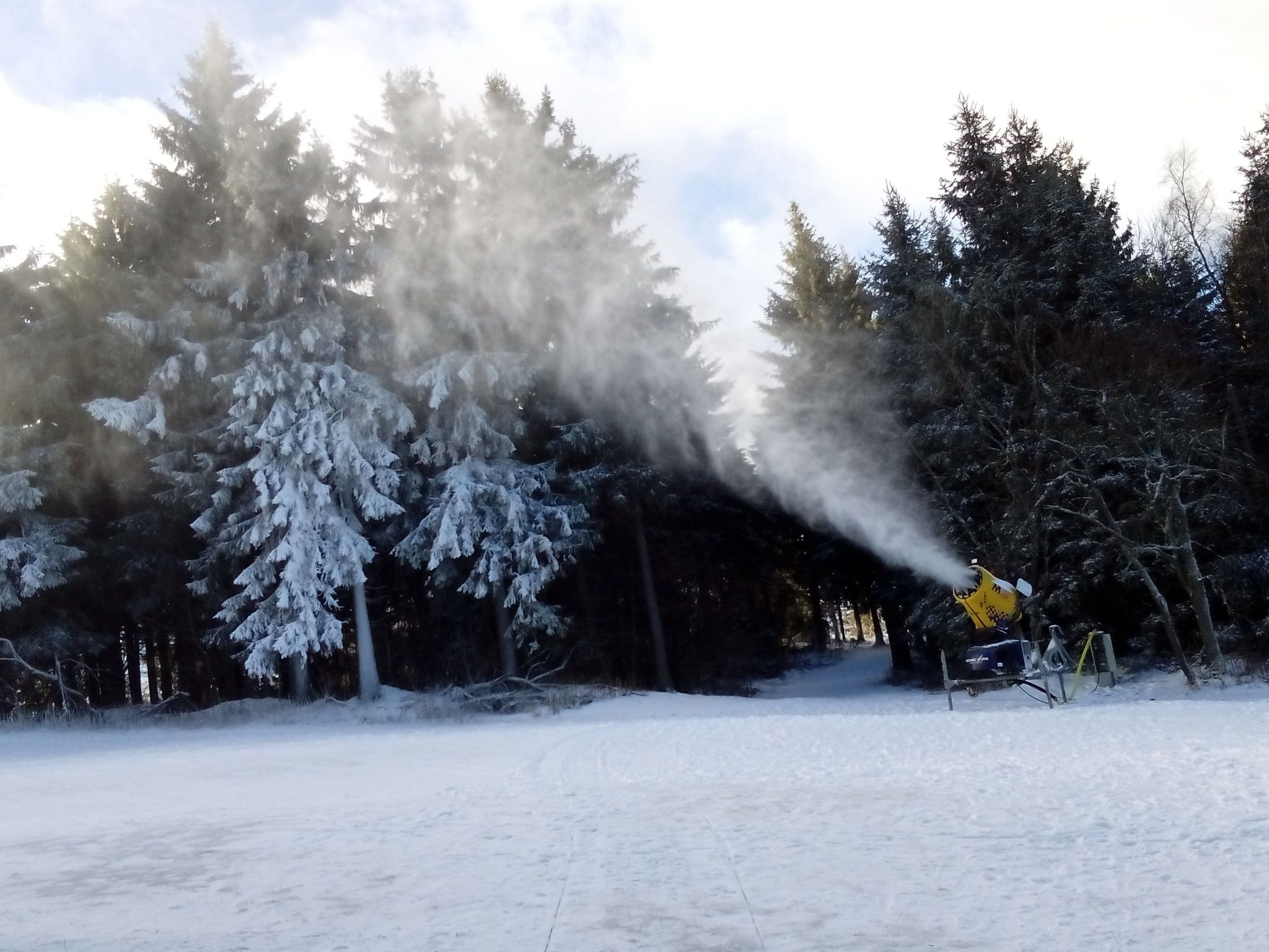 Cat'n'Boots Haus-Binnen