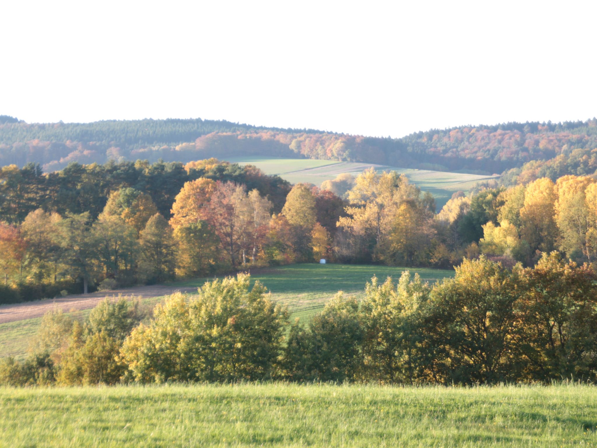 Haus Schmetterfly-Binnen