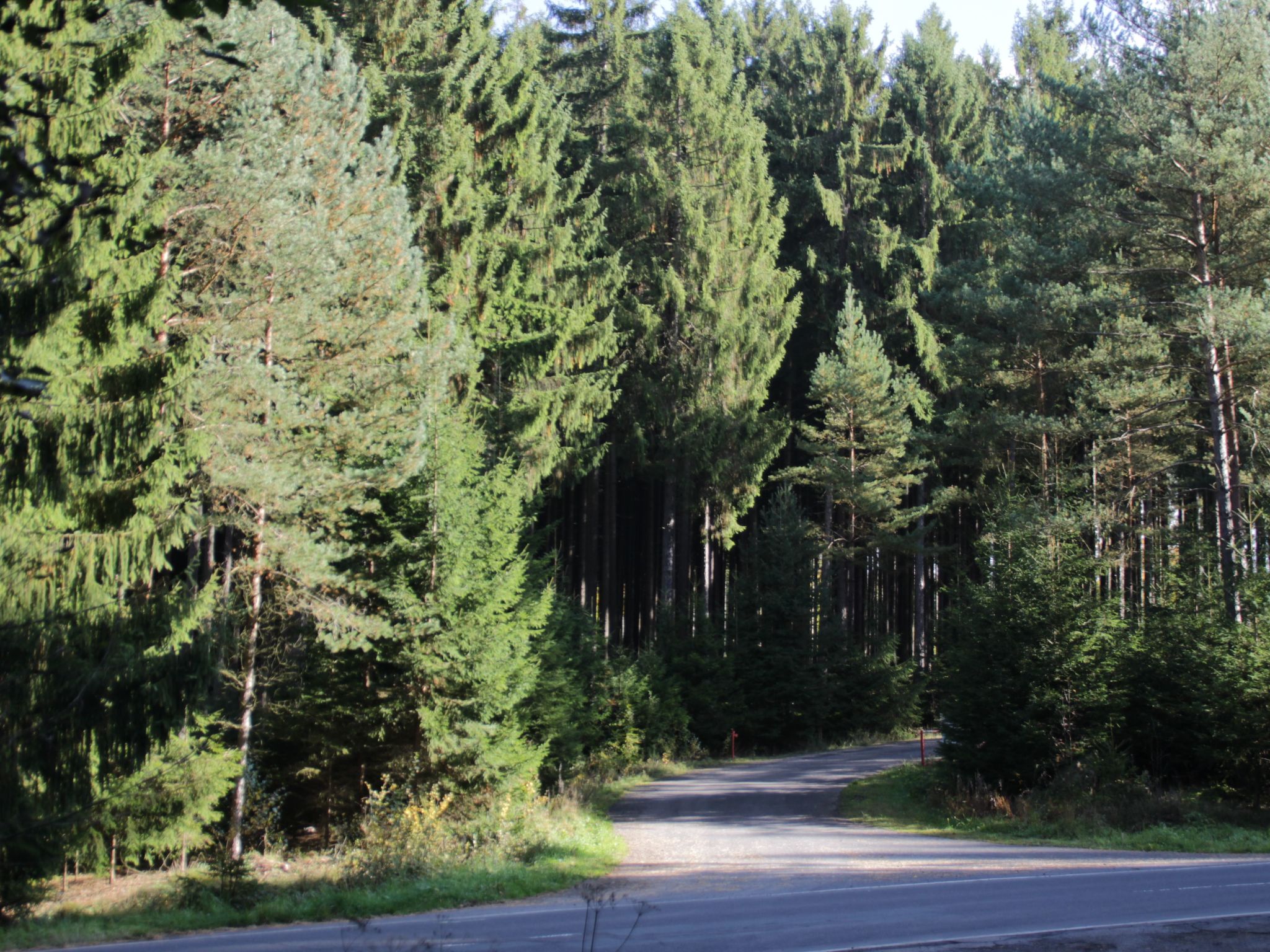 Haus Schmetterfly-Binnen