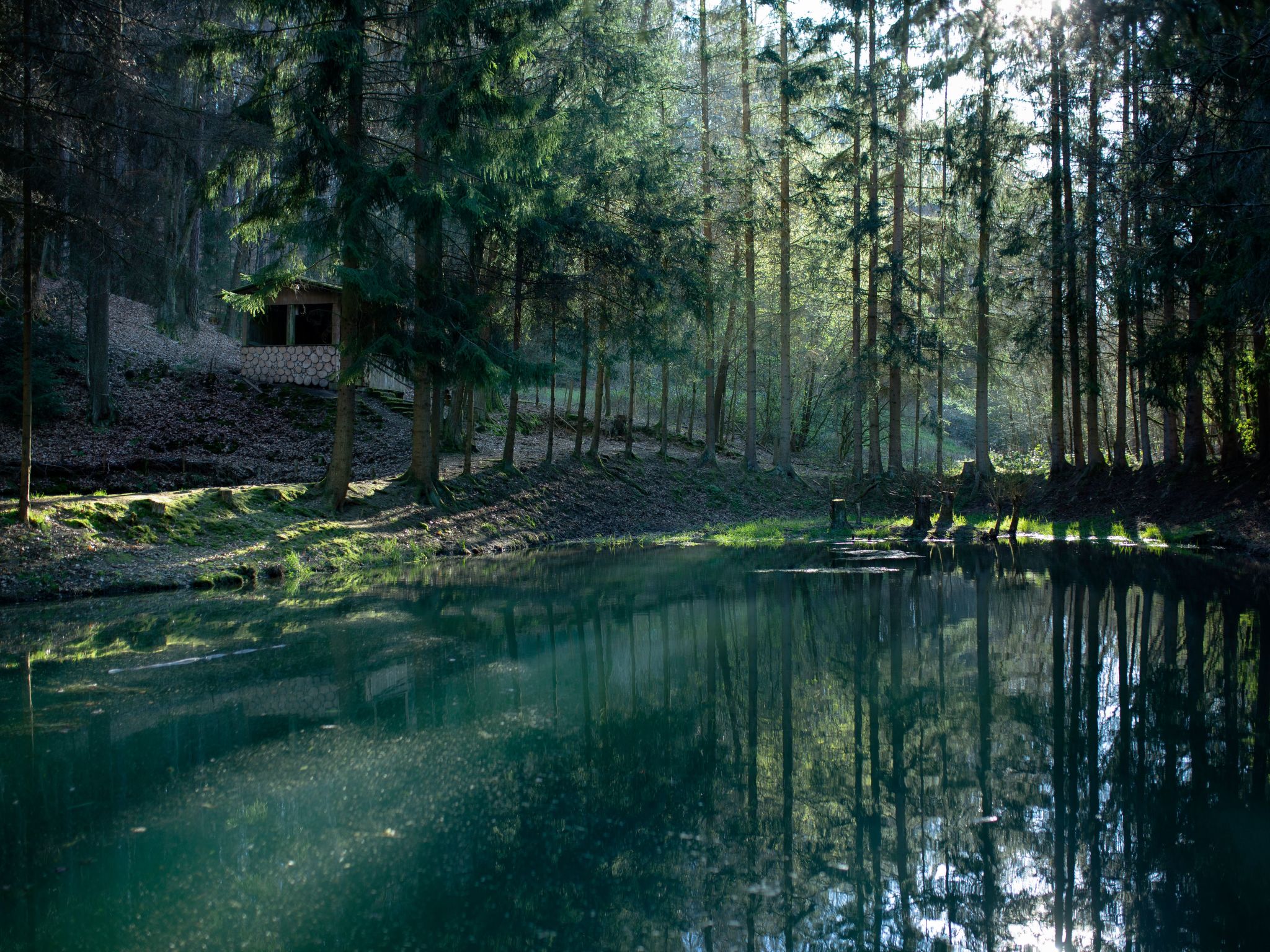 Haus Schmetterfly-Binnen
