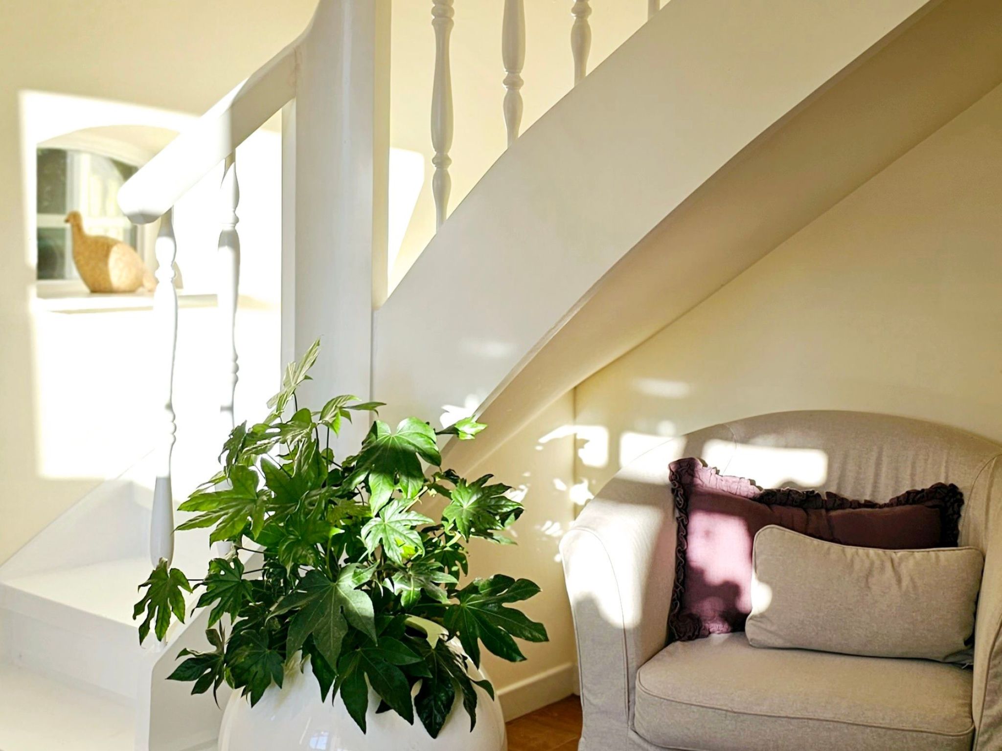 Luxuszeit zu Zweit-Image-tags.info