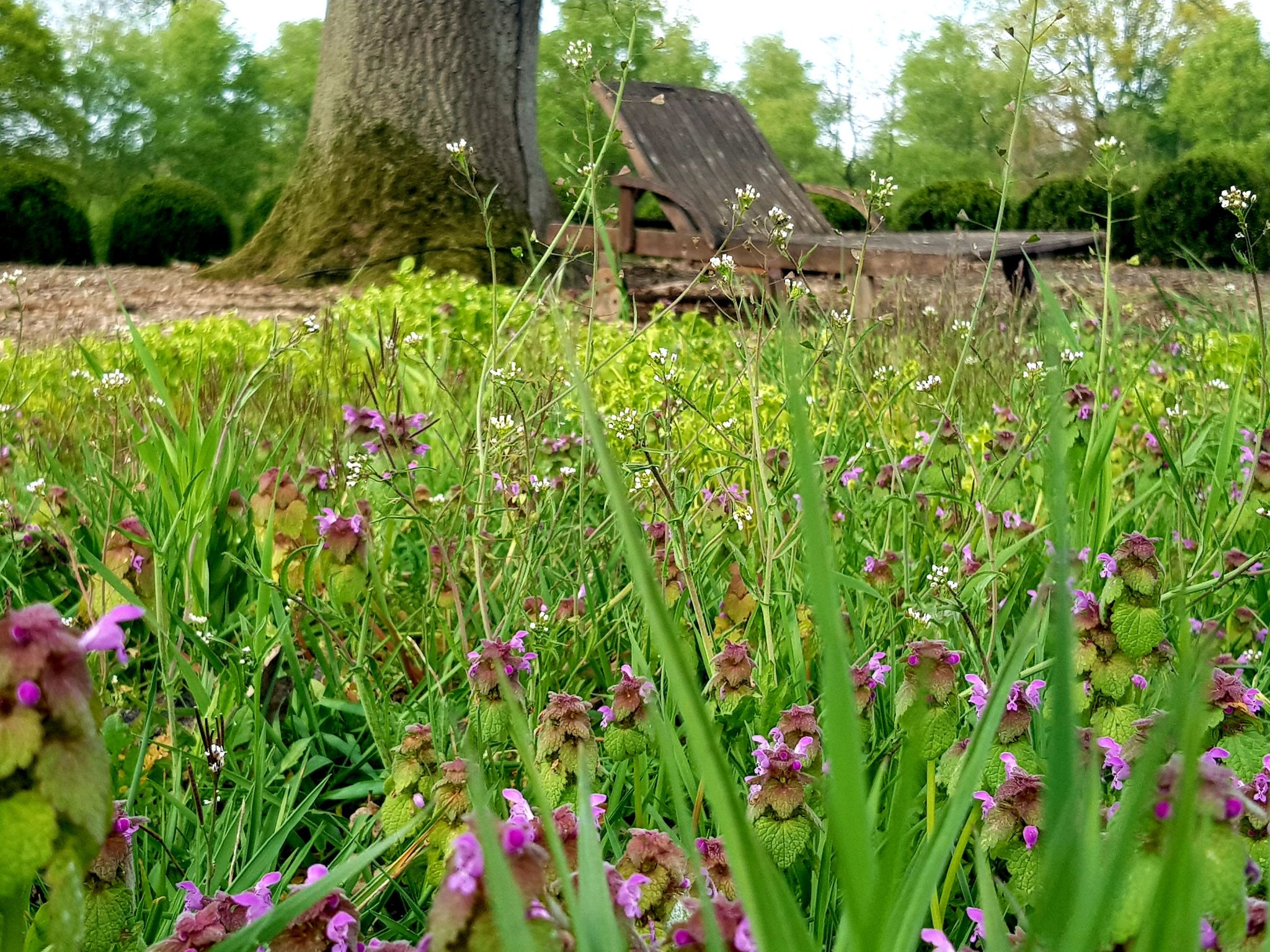 Luxuszeit zu Zweit-Image-tags.info