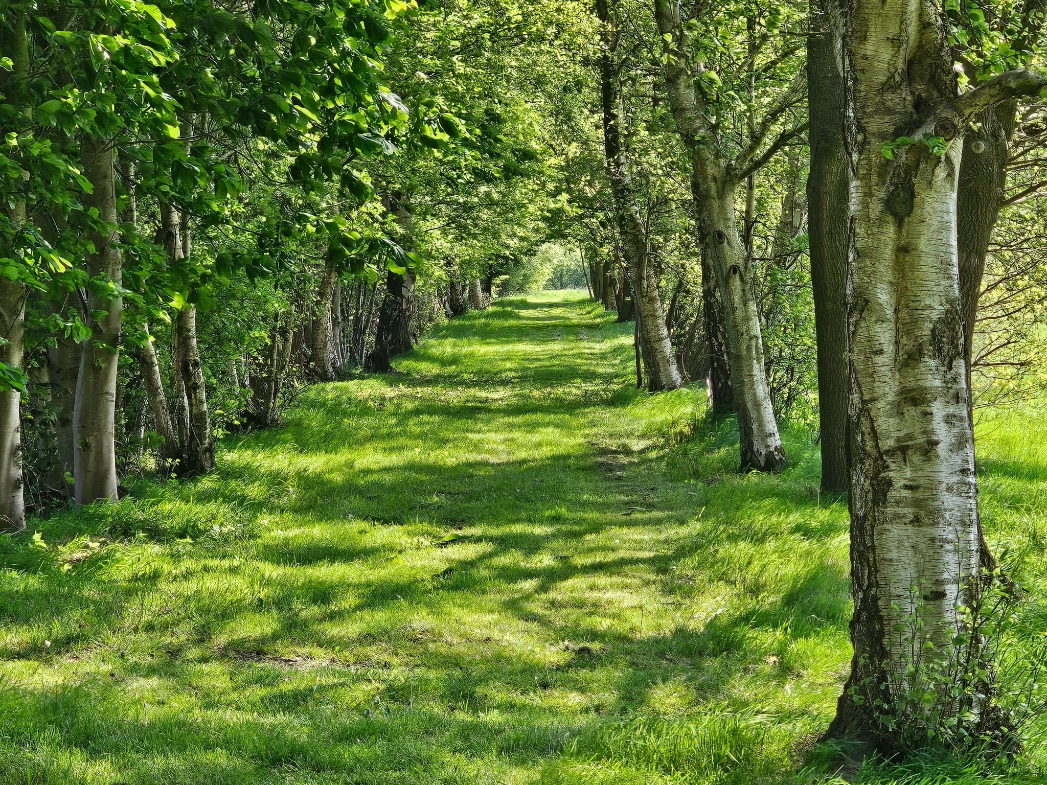 Luxuszeit zu Zweit-Image-tags.info