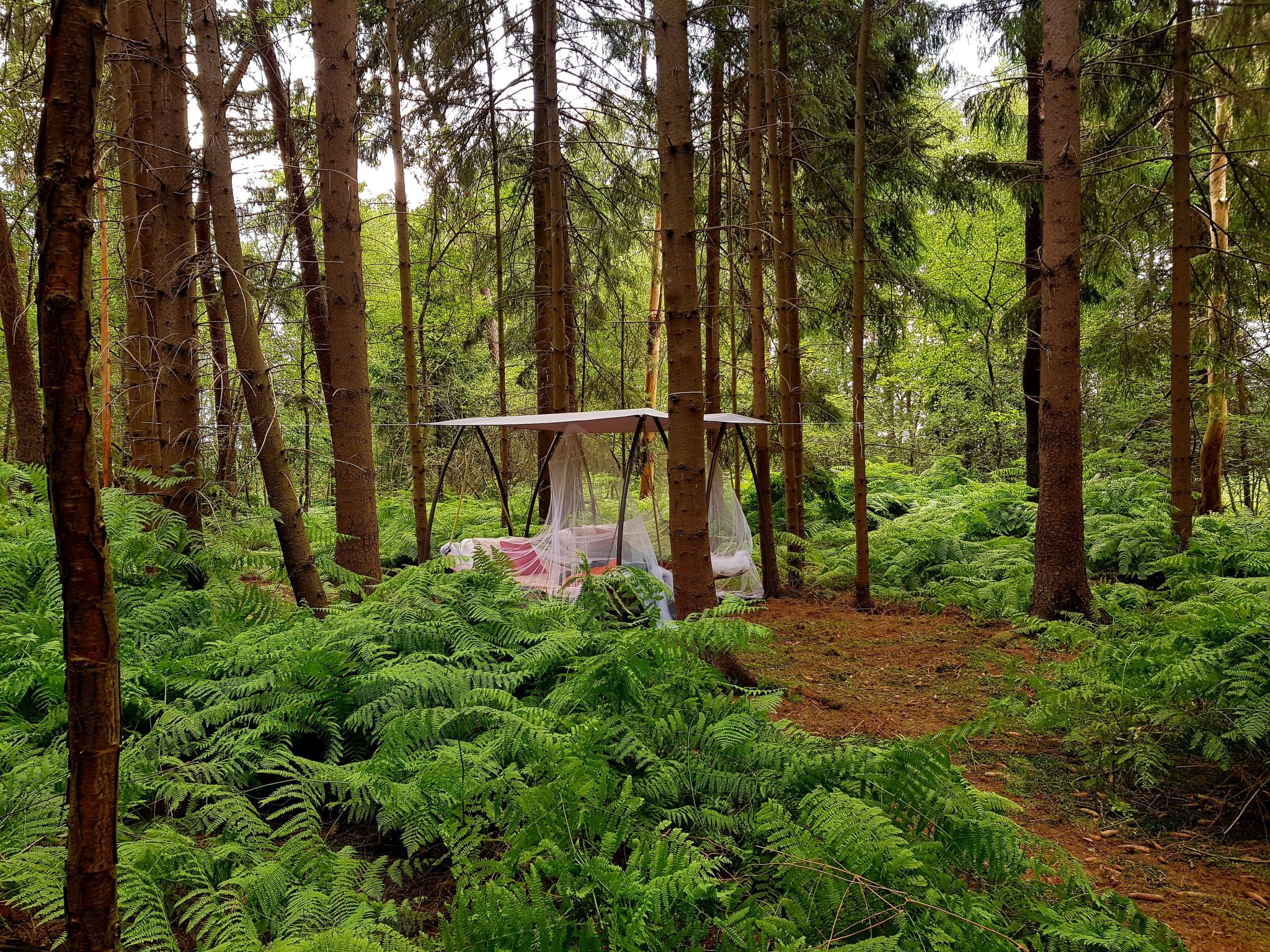 Luxuszeit zu Zweit-Image-tags.info