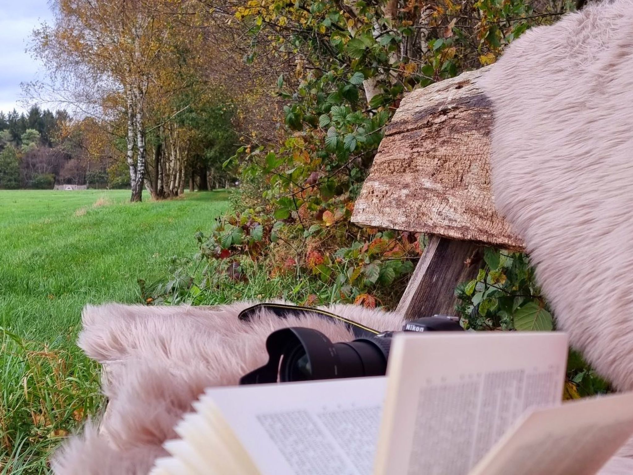 Luxuszeit zu Zweit-Image-tags.info