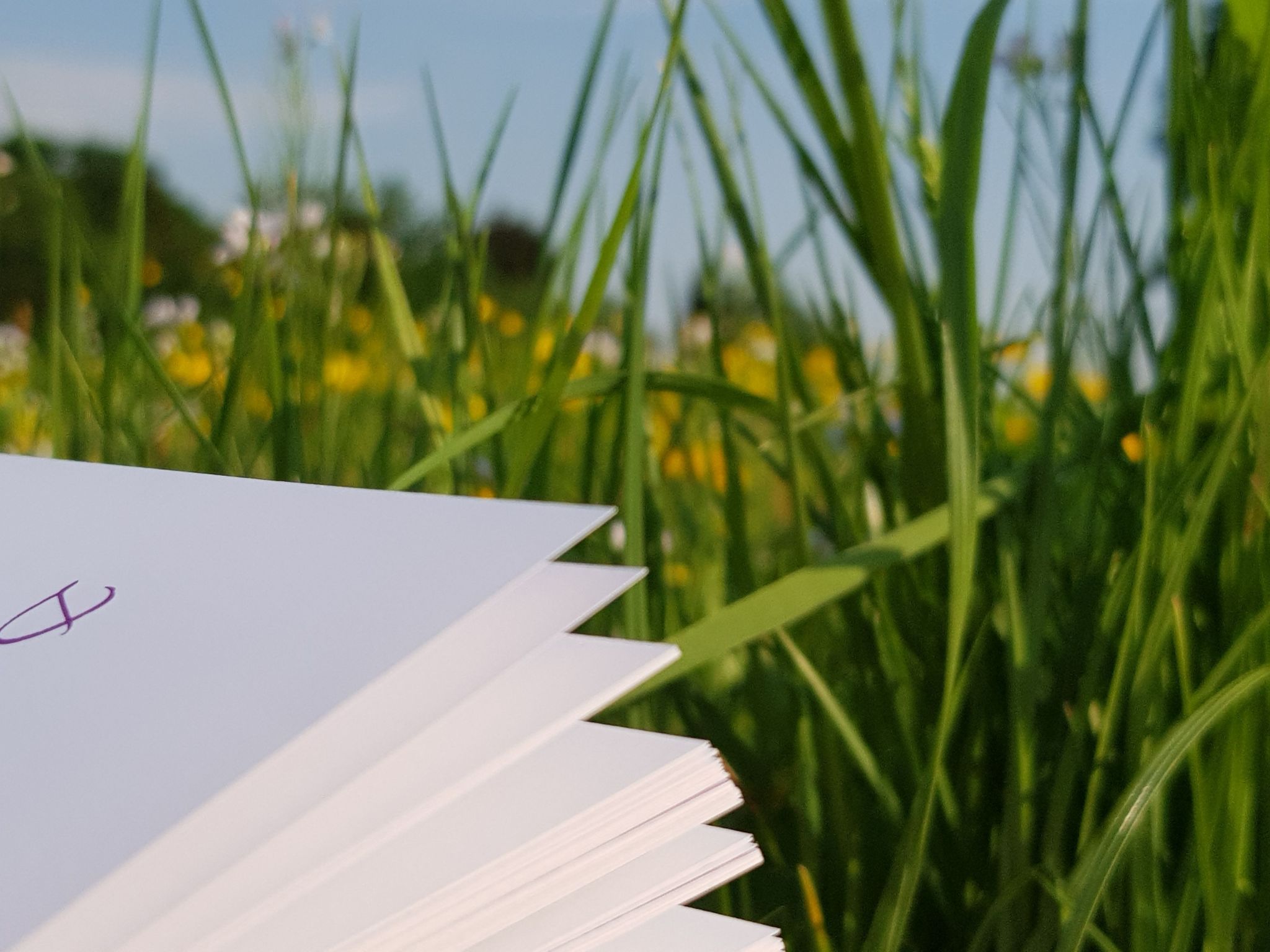 Luxuszeit zu Zweit-Image-tags.info