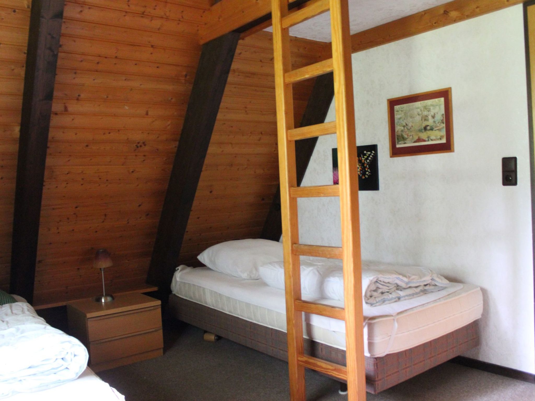 Mohnblume-Image-tags.info