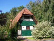Kirschblüte