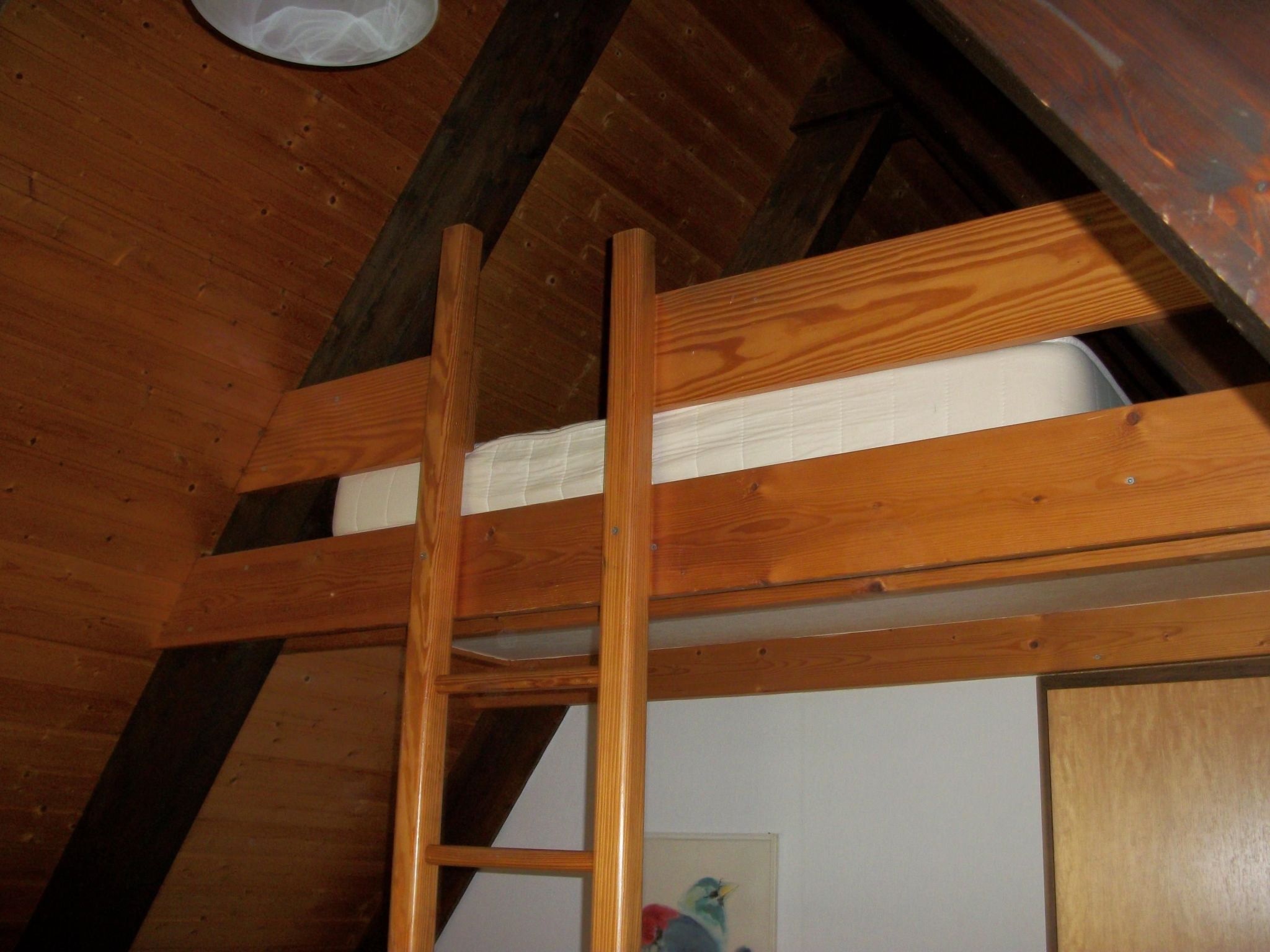 Kirschblüte-Image-tags.info