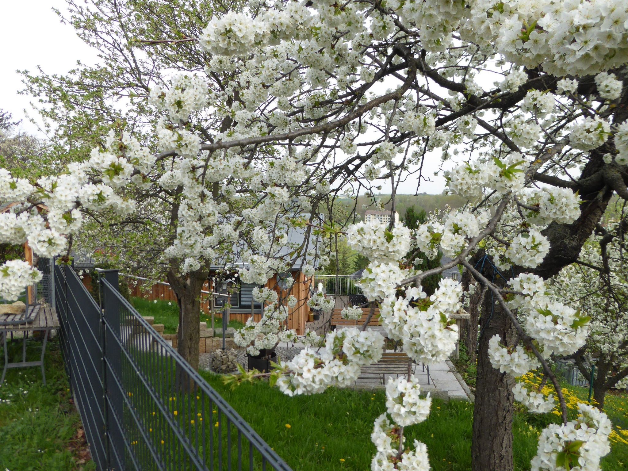 Teufelsmauerblick-Binnen