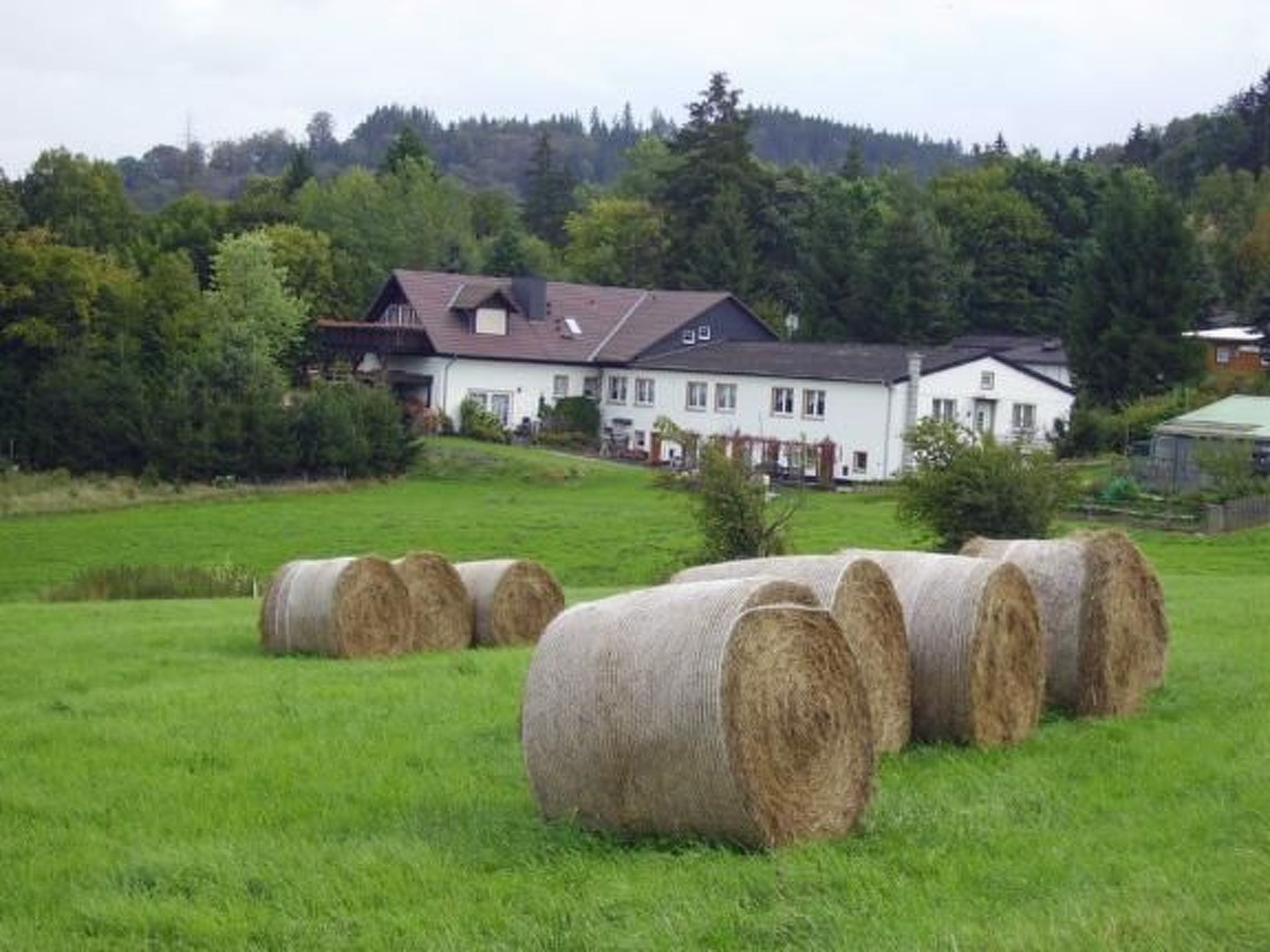 Gemütliche Wohnung in Altenbrak inkl Terrasse-Binnen