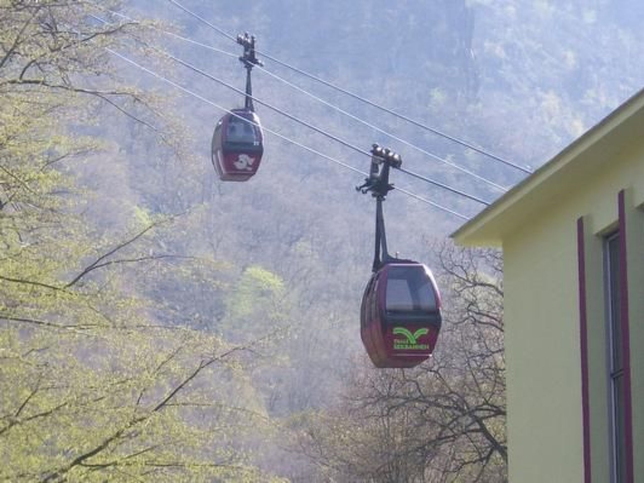 Wotan 1-Image-tags.info