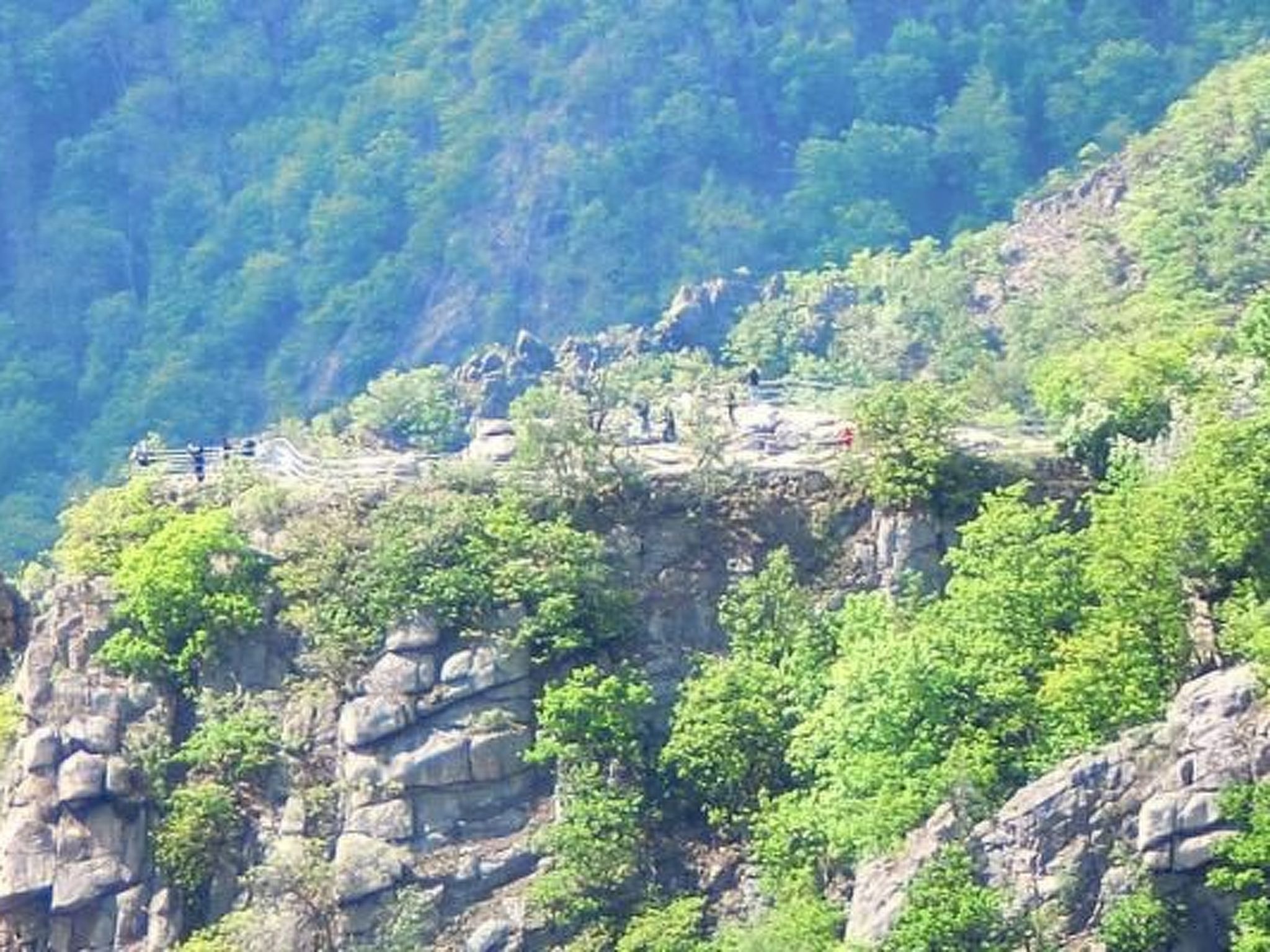 Appartement in Thale mit Grill-Image-tags.info