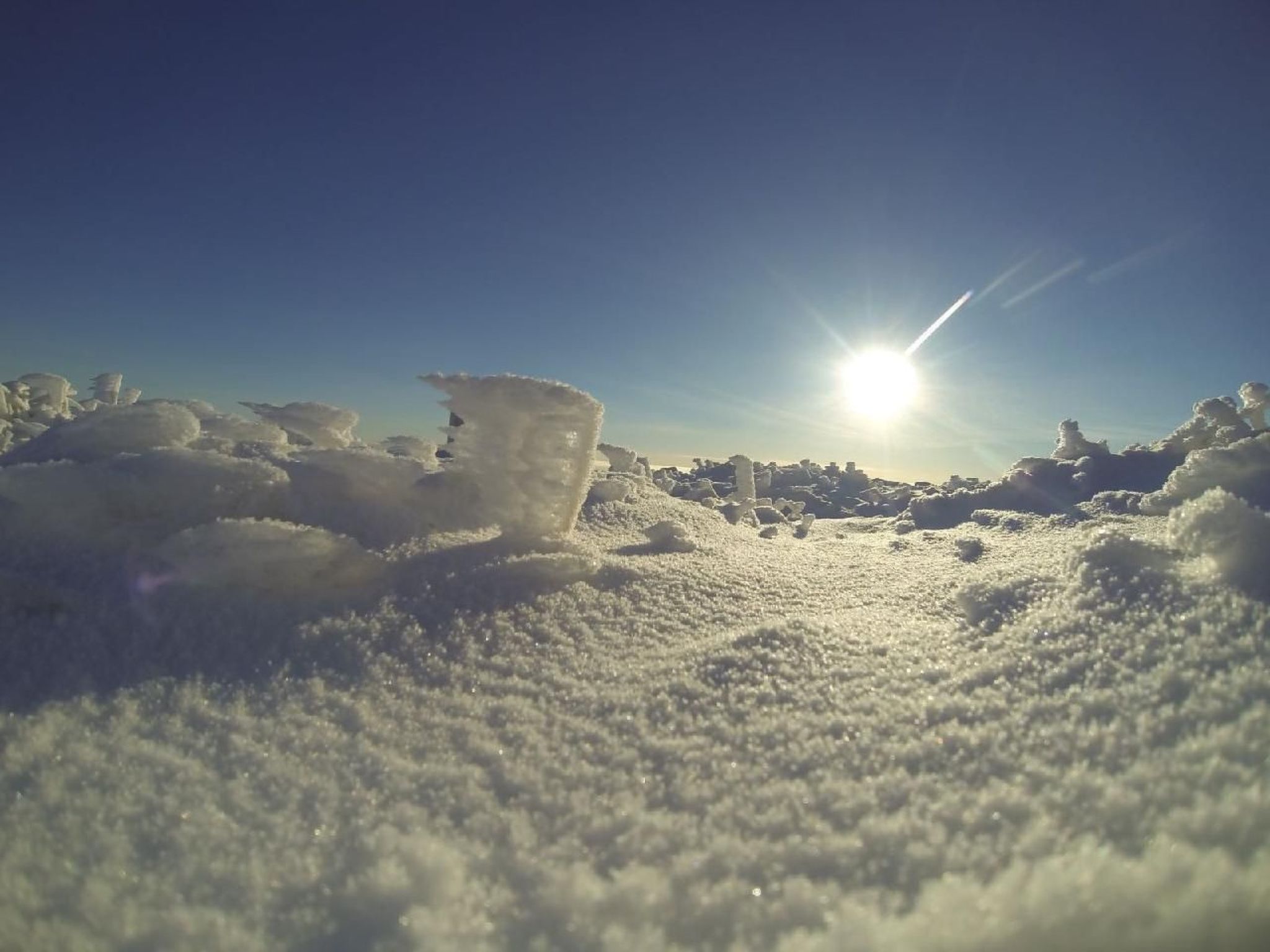 Wotan-Image-tags.info