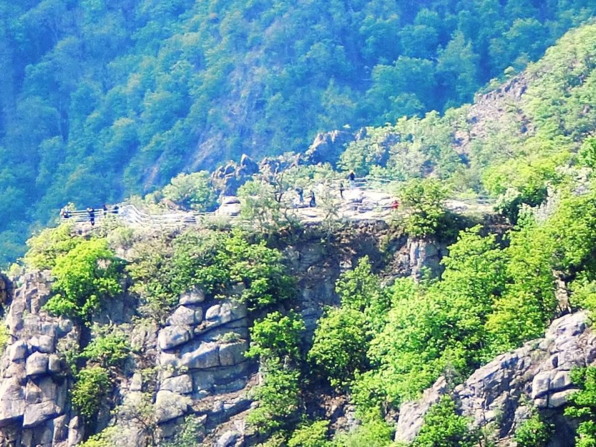 Wotan-Image-tags.info