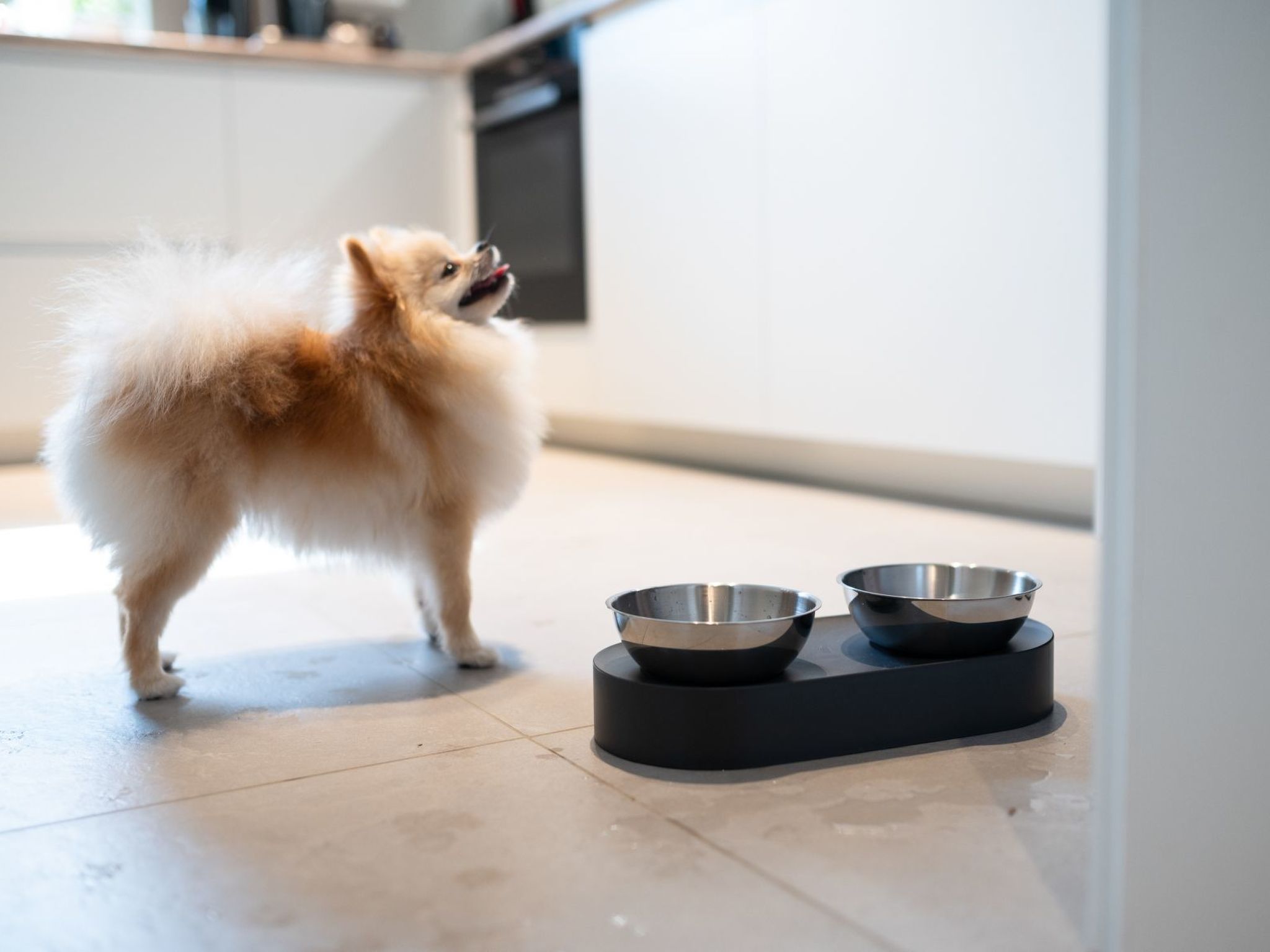 House 756 Mainz-Image-tags.info