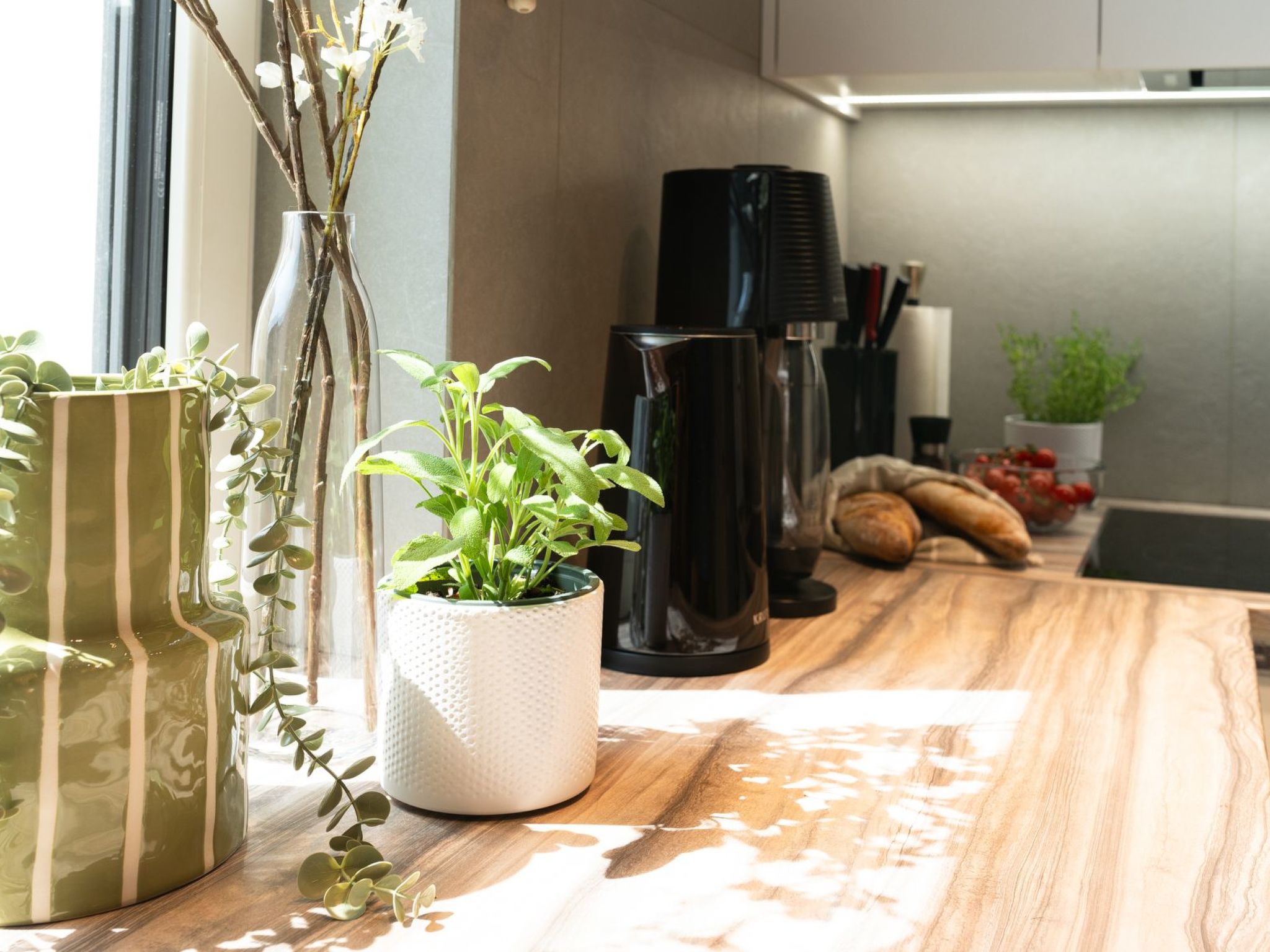 House 756 Mainz-Image-tags.info