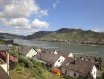 Rheinblick