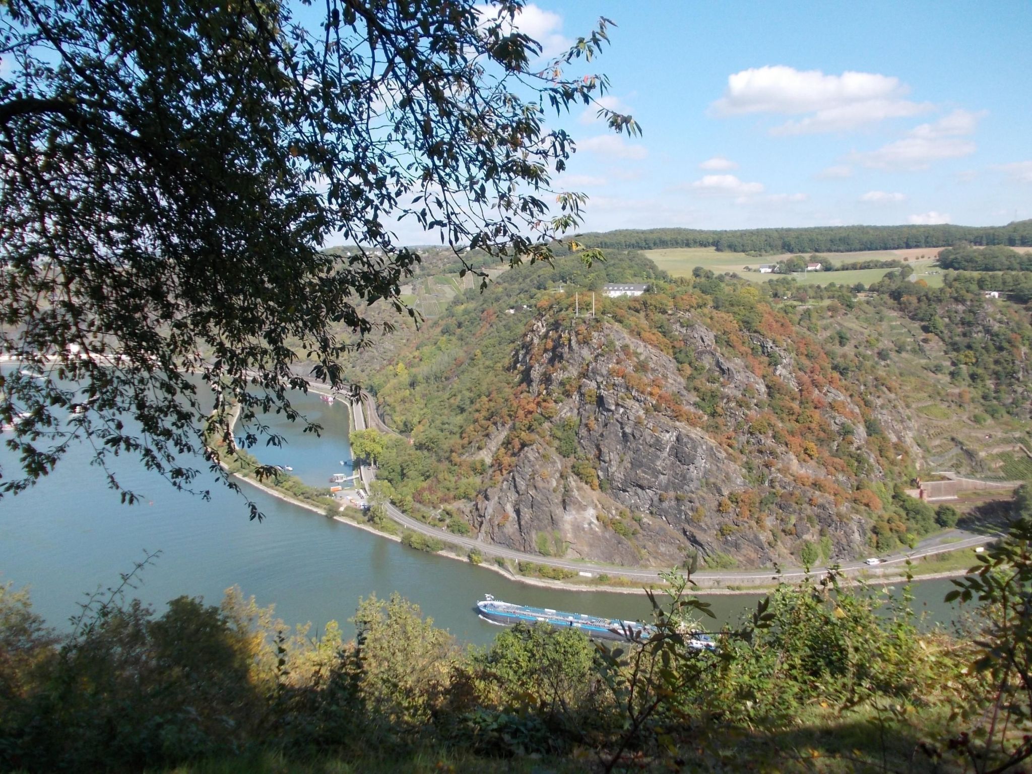 Mit Balkon und Rheinblick-Image-tags.info