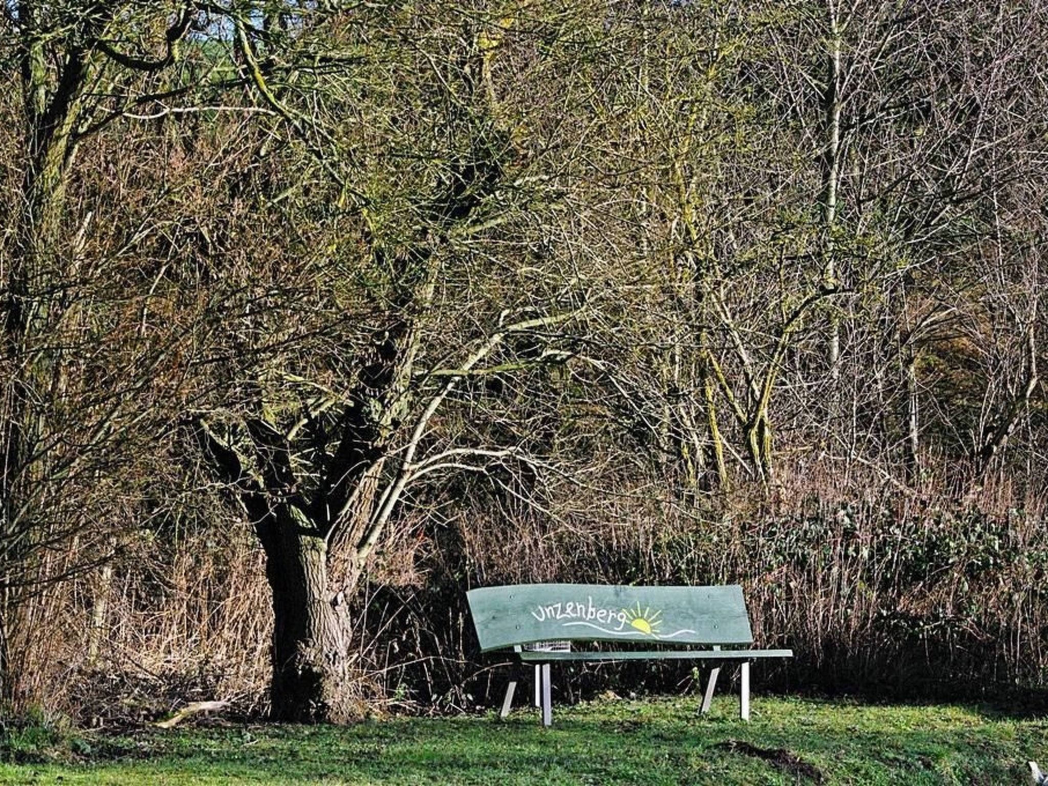 Appartement in Unzenberg Hunsrück-Binnen