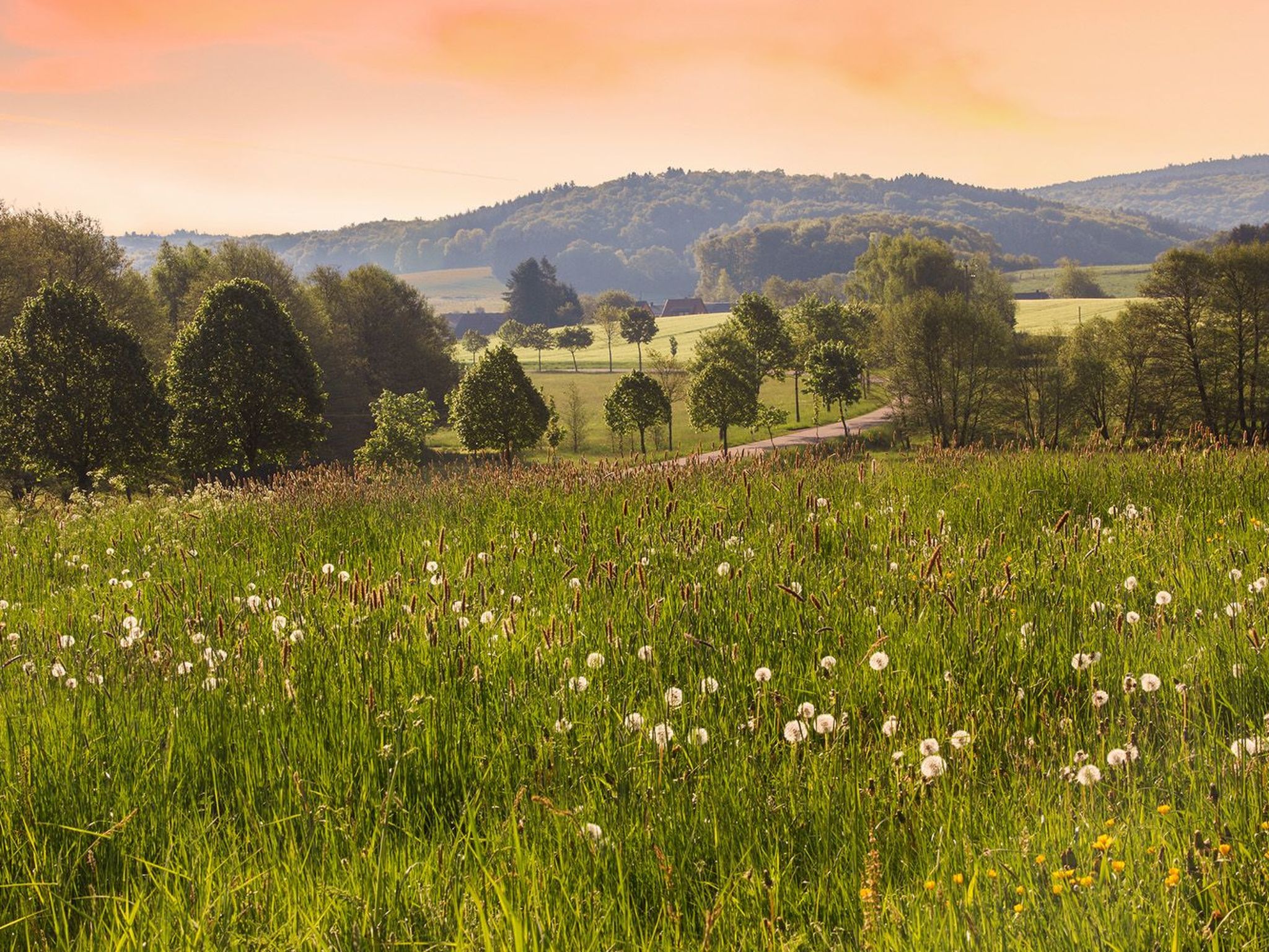 Gemütliche Ferienwohnung in Alt-Saarbrücken mit Terrasse-Image-tags.info