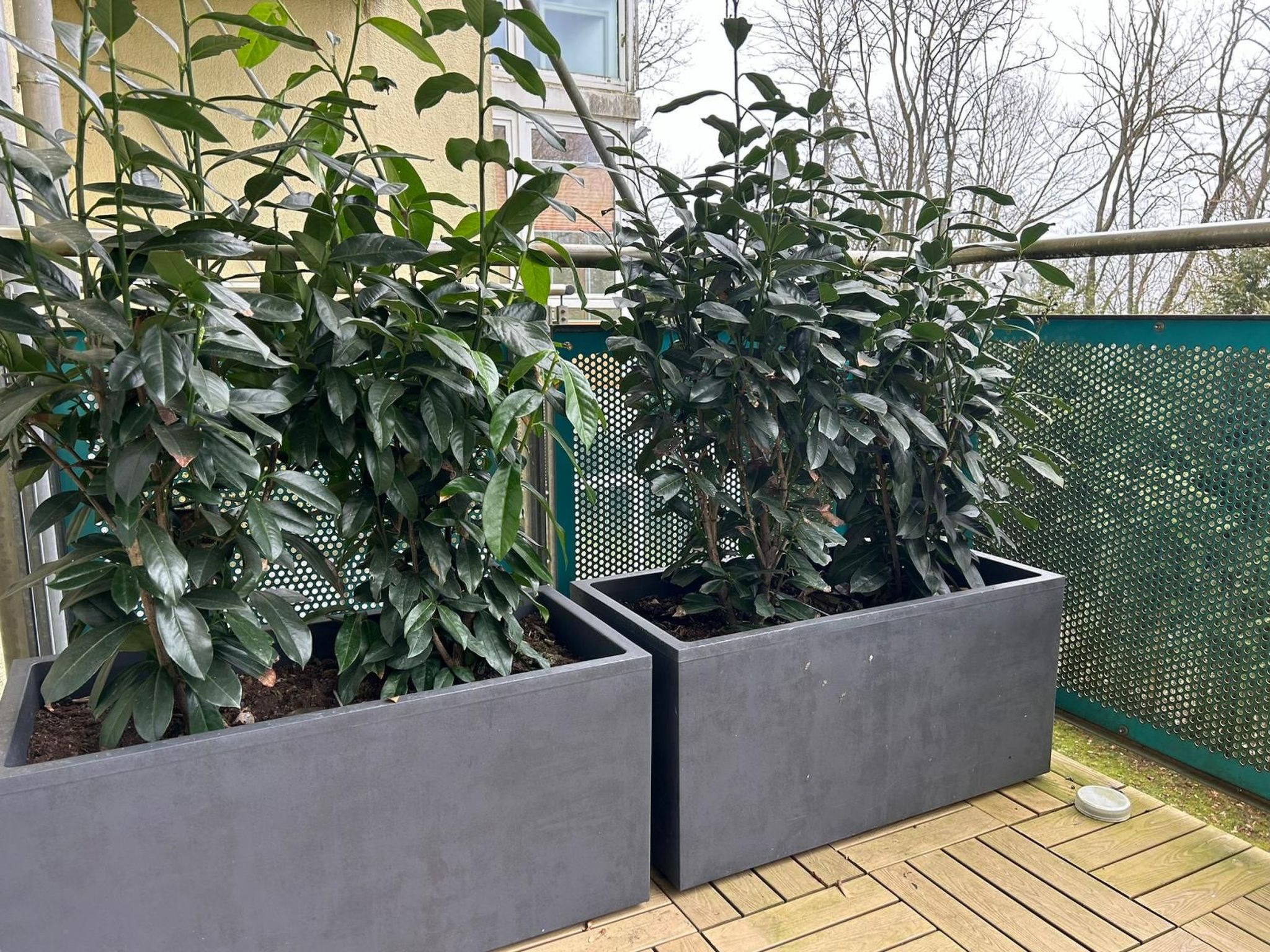 Top Lage Klinikum-Image-tags.info