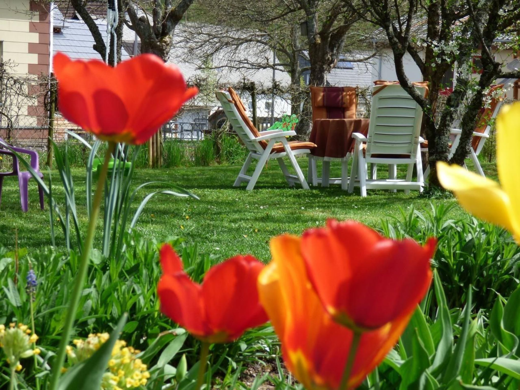 The beautiful holiday flat is approx. 60 square metres in size and is located on the ground floor with a separate entrance, a bedroom with double bed, a living room with TV and sofa bed (for 3rd-4th g..