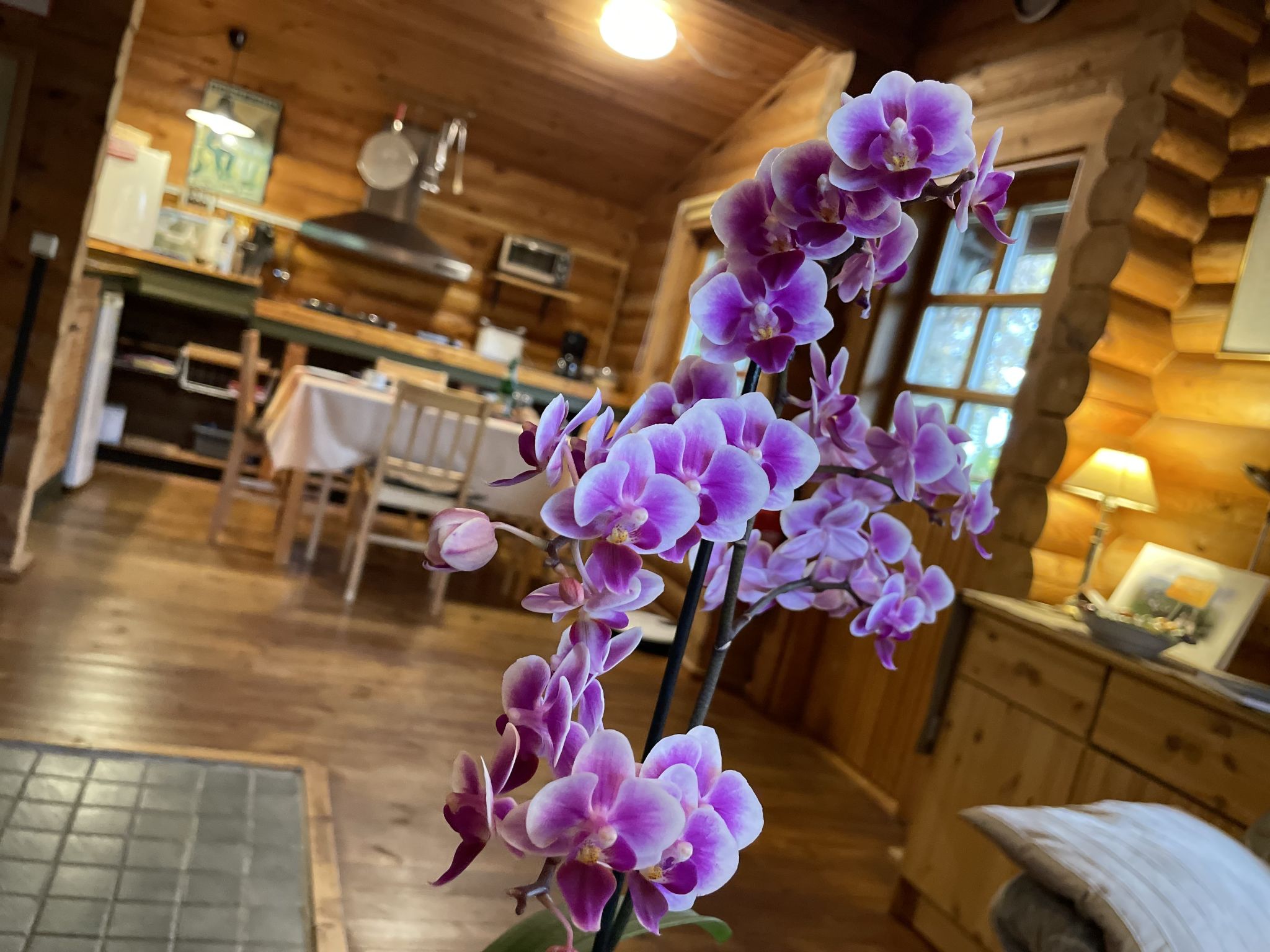 Holiday Rental Accommodation