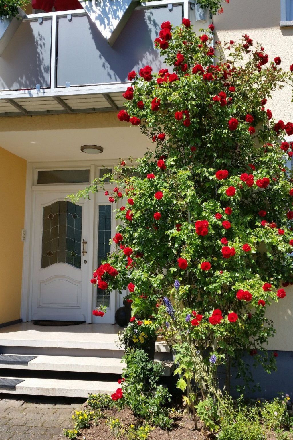 Ferienwohnung-Binnen