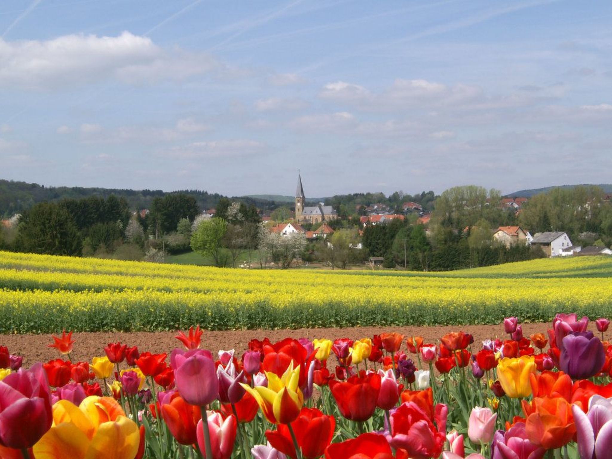 Ferienwohnung-Binnen