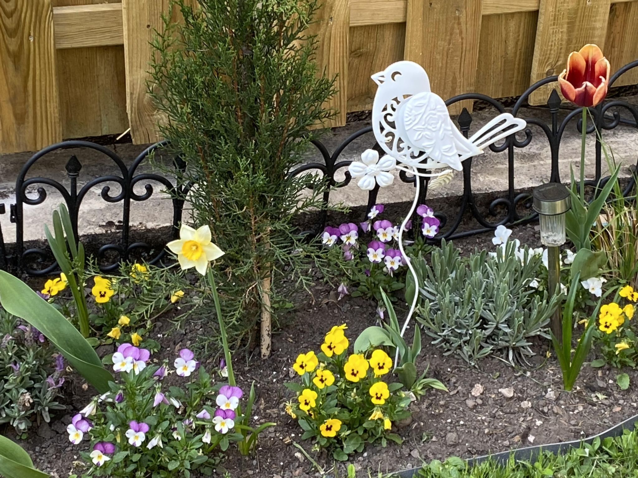 Schöndorf-Image-tags.info