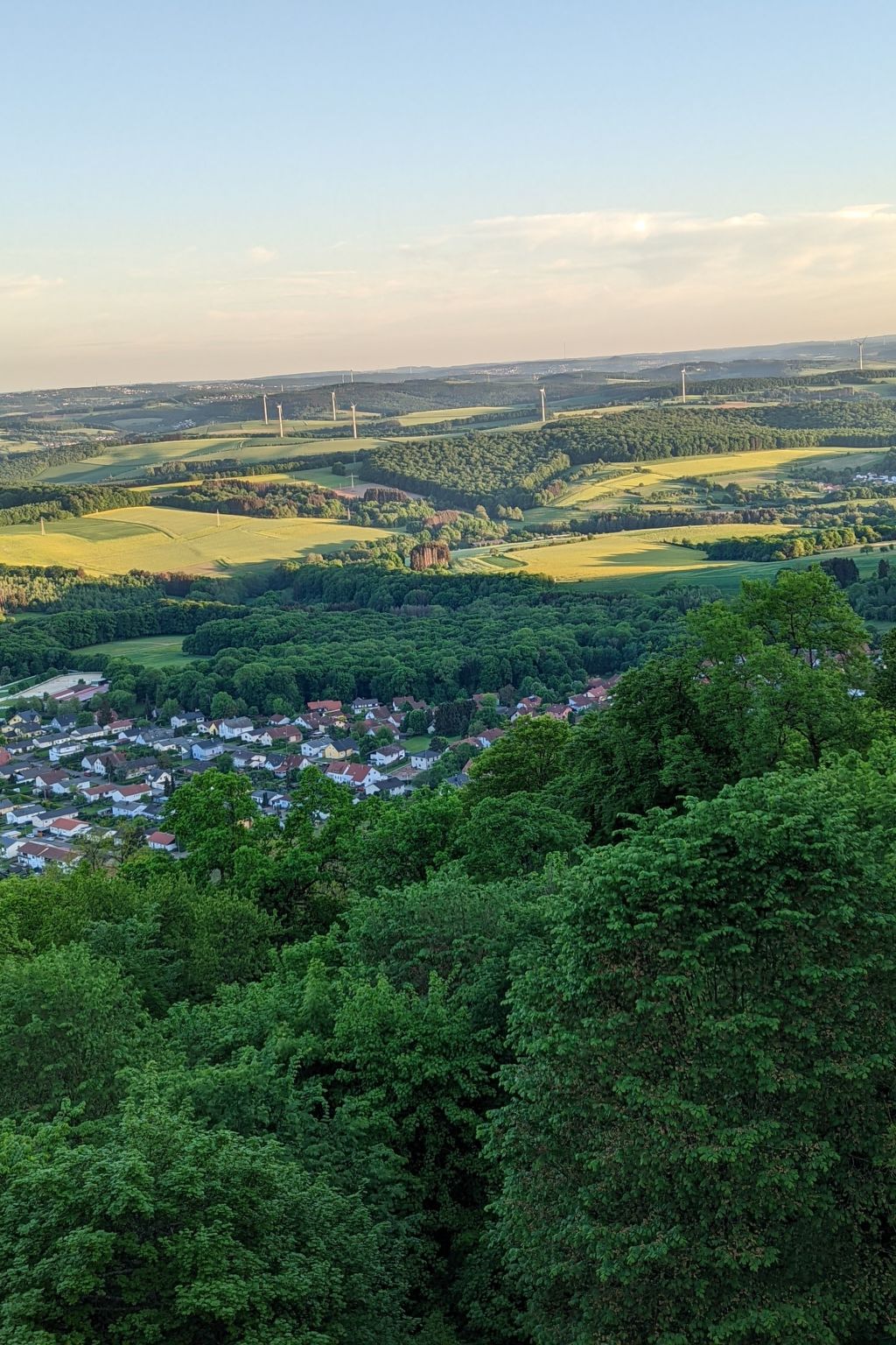 Schöndorf-Image-tags.info