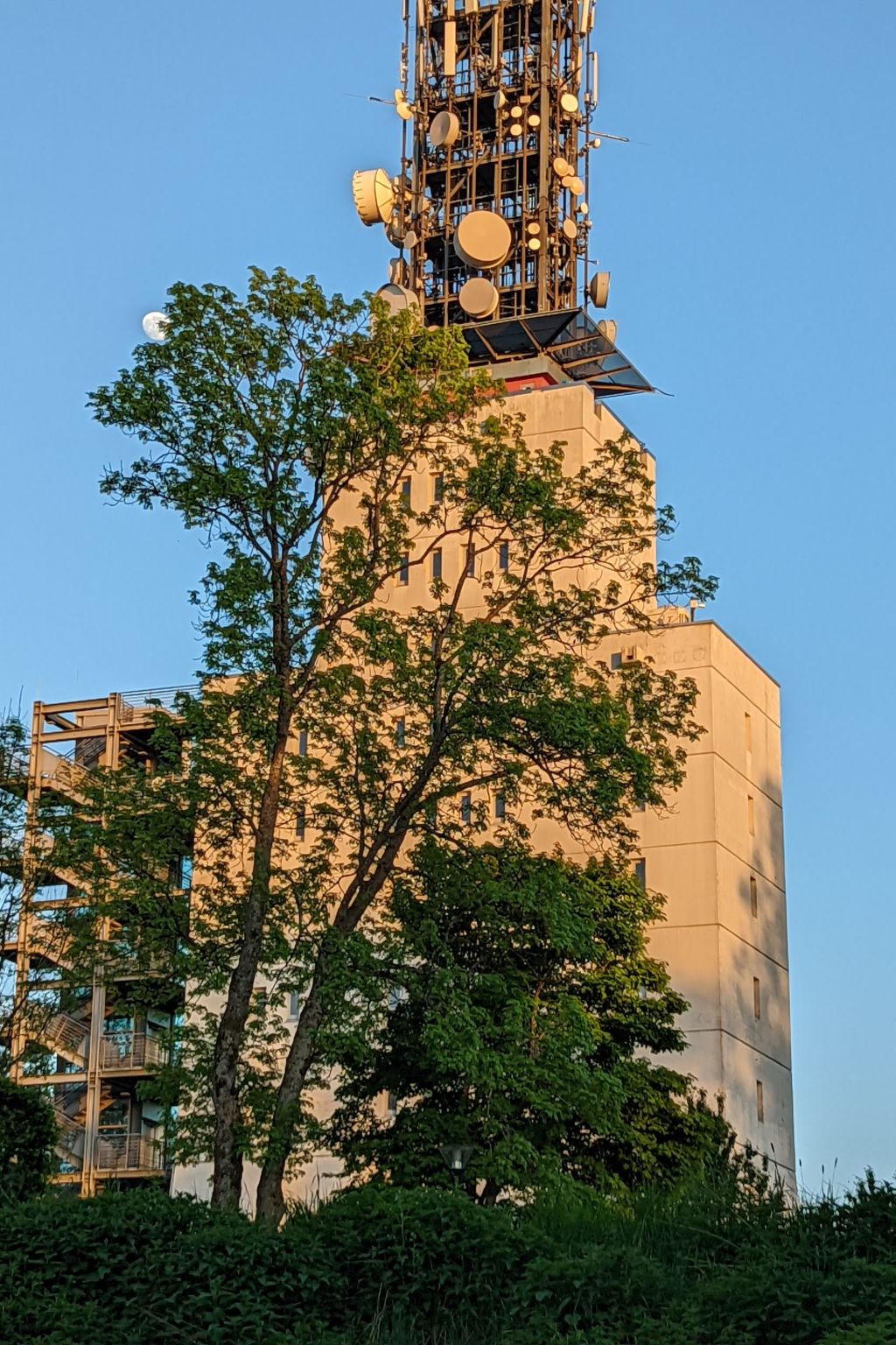 Schöndorf-Image-tags.info