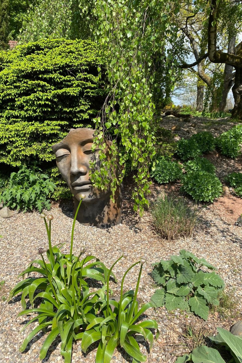 Schöndorf-Image-tags.info