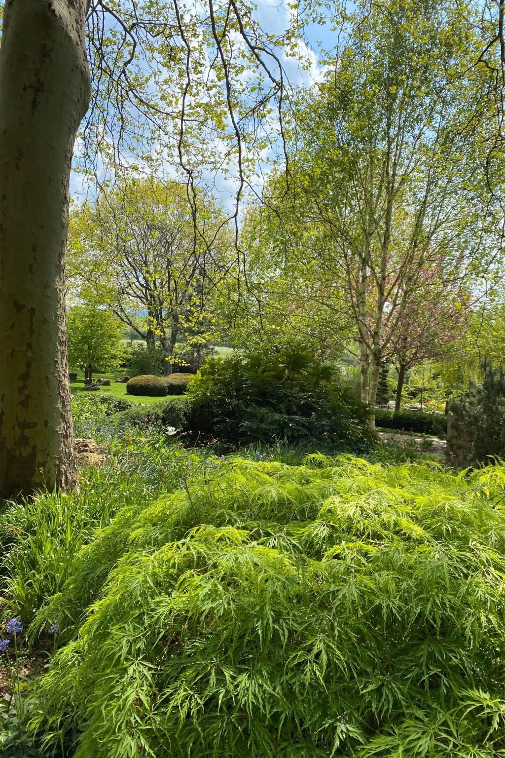 Schöndorf-Image-tags.info