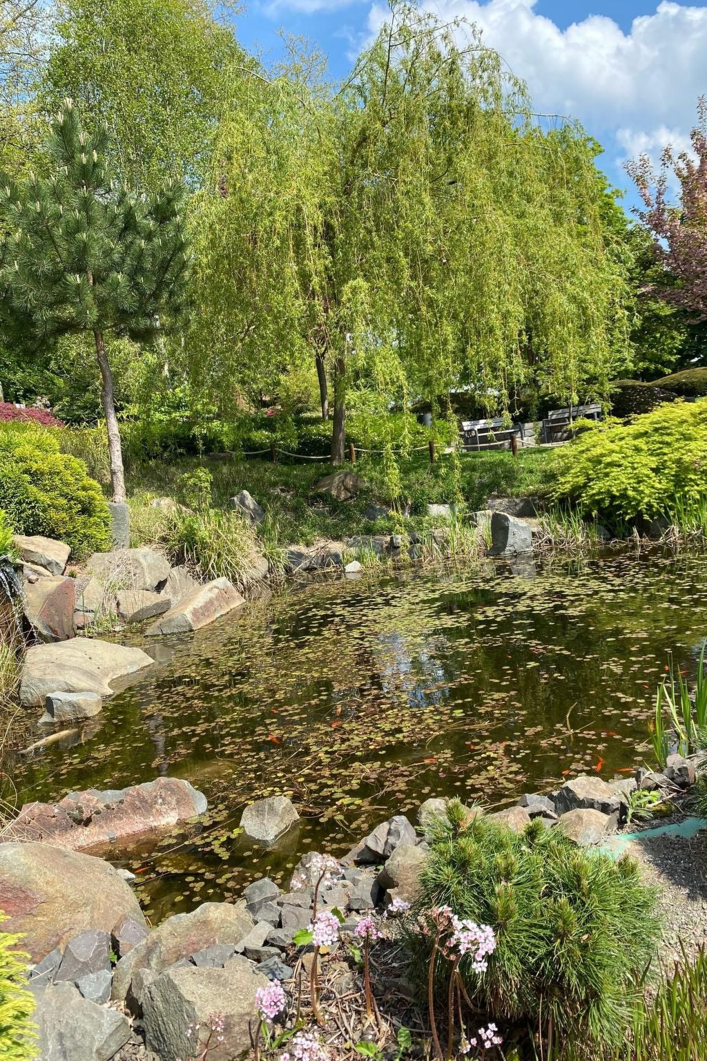 Schöndorf-Image-tags.info