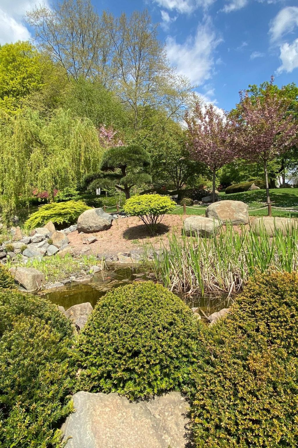 Schöndorf-Image-tags.info