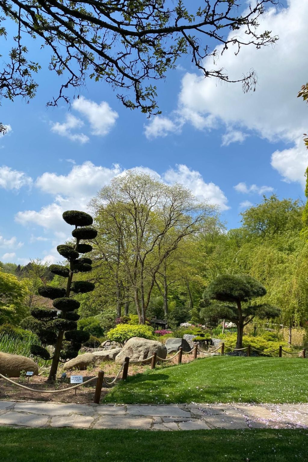 Schöndorf-Image-tags.info