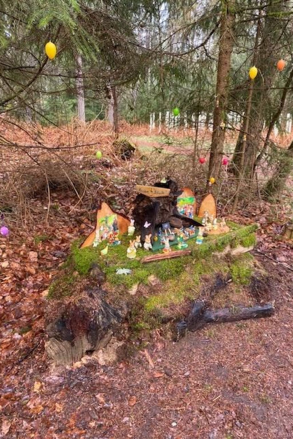 Schöndorf-Image-tags.info