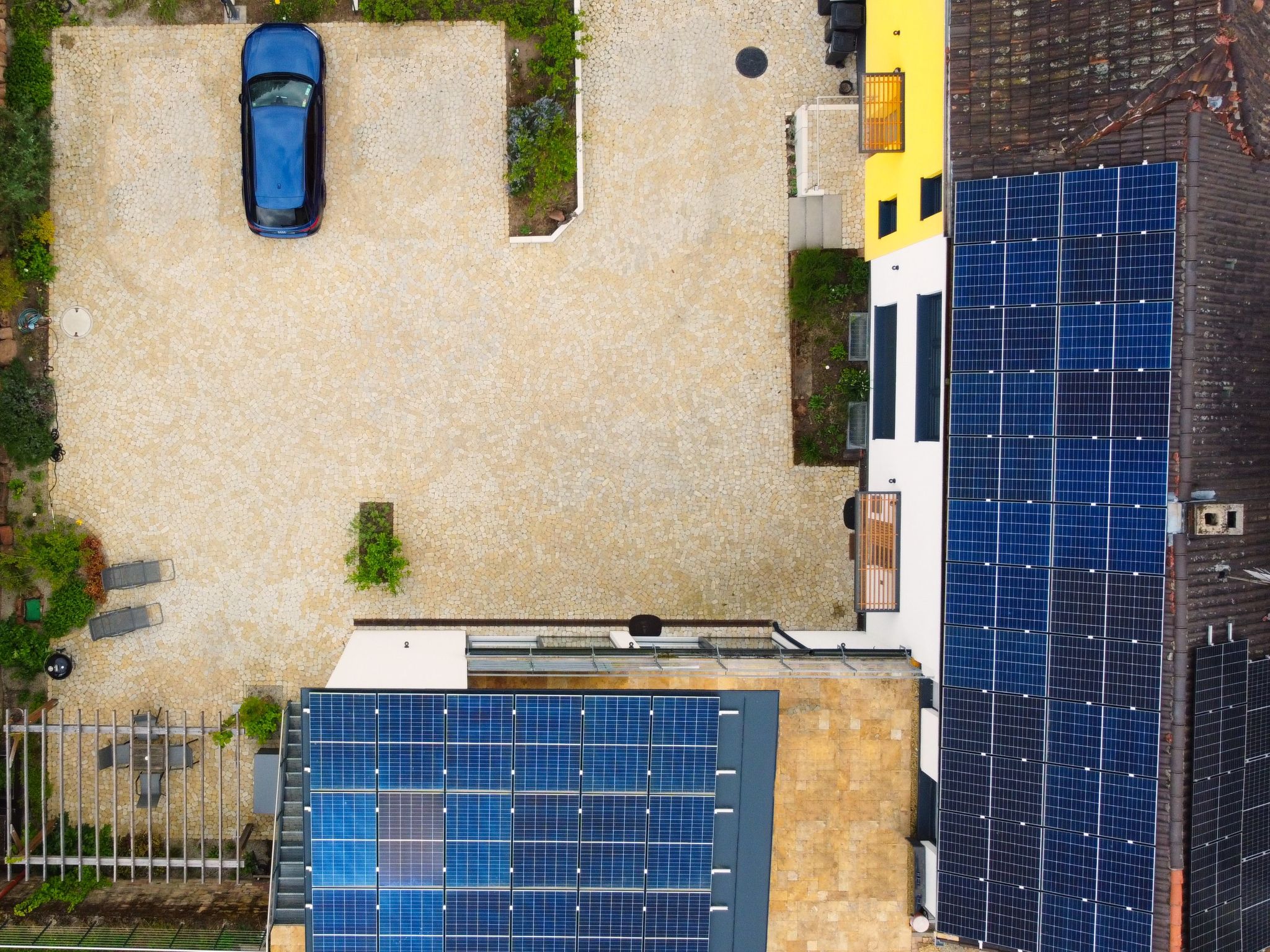 Kiwihof-Image-tags.info