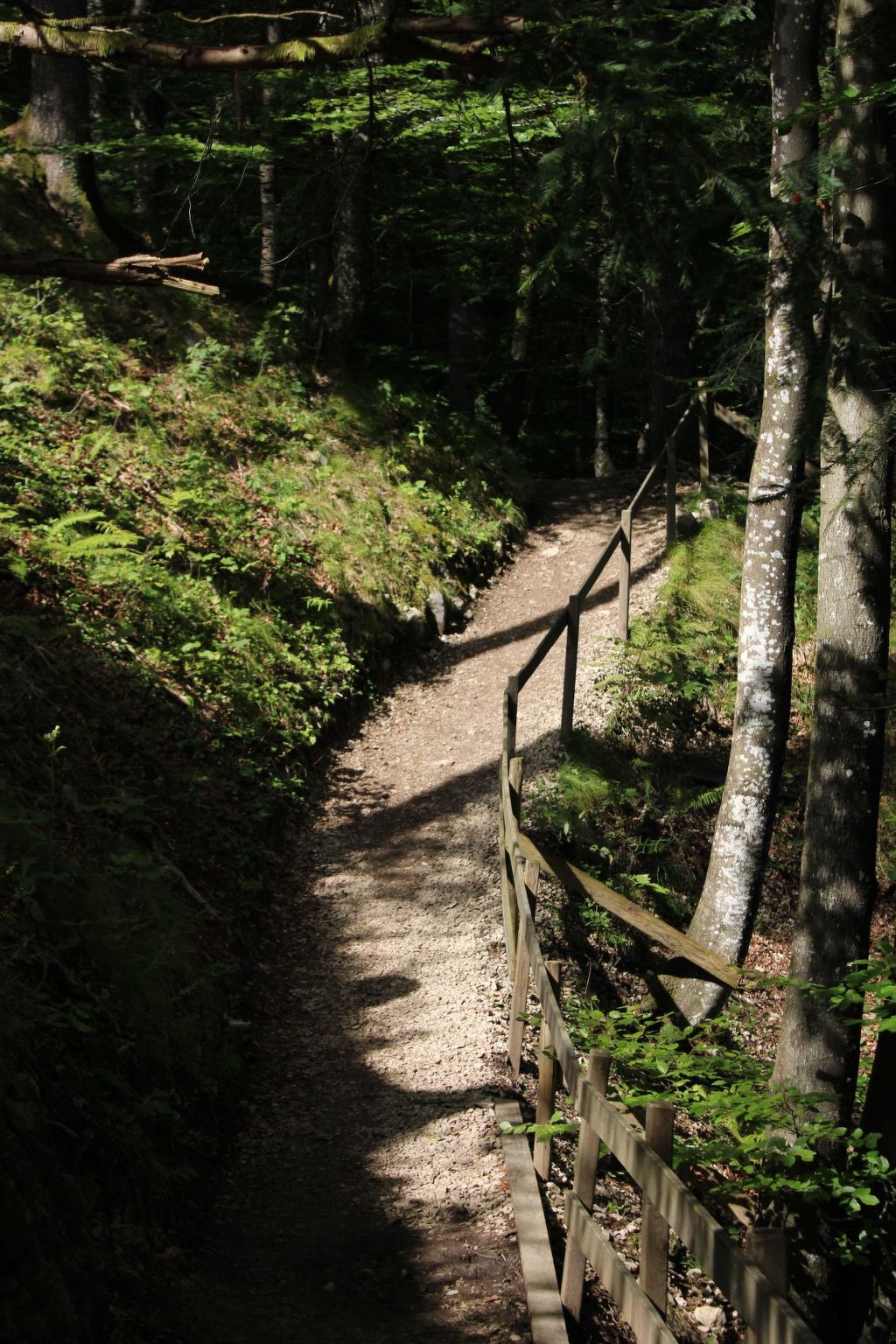 Emma-Image-tags.info