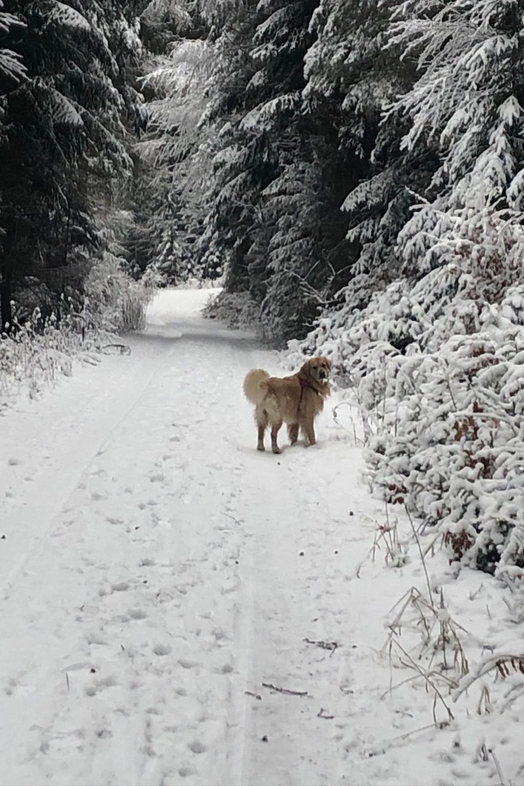 Emma-Image-tags.info