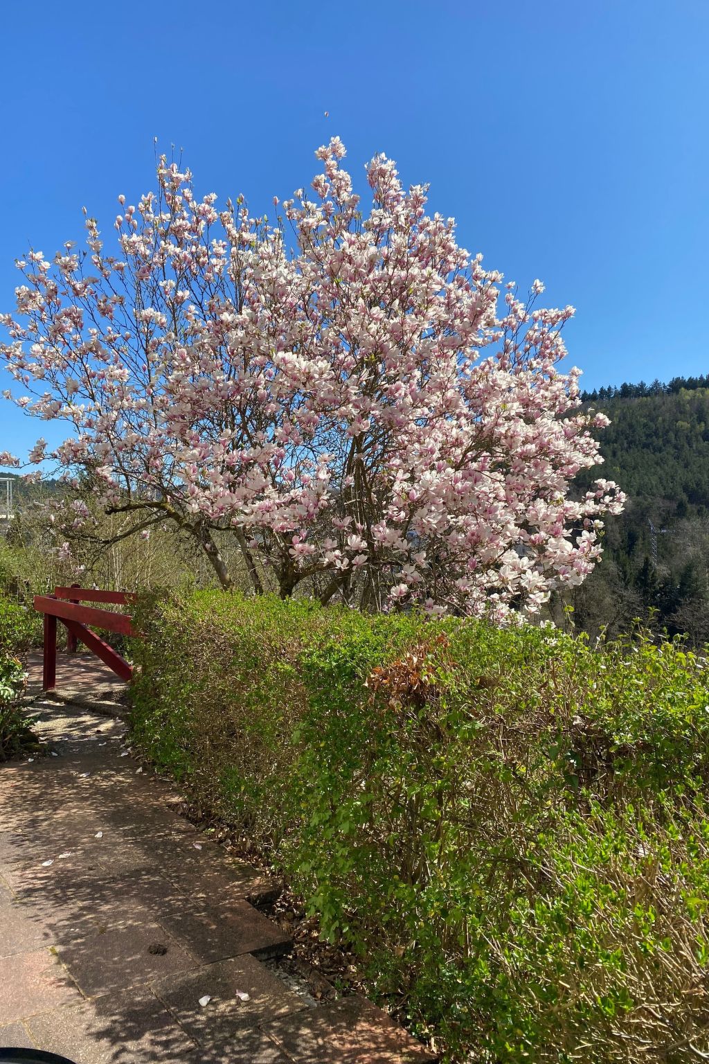 Emma-Image-tags.info