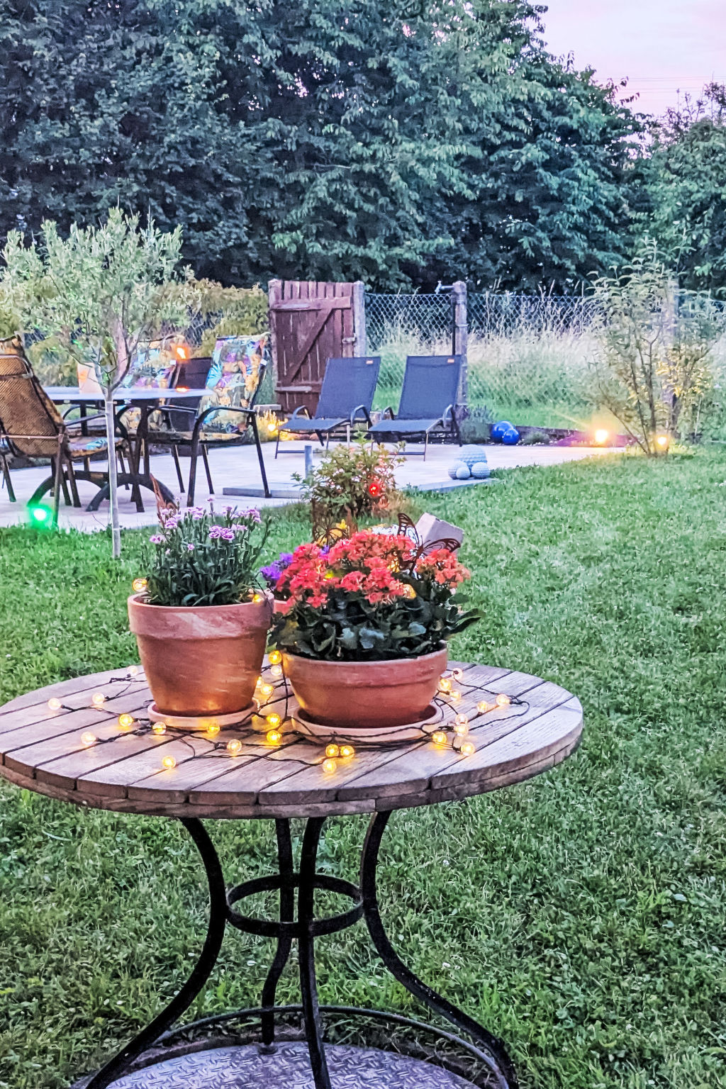 Helfrichs Ferienwohnung - Draußen
