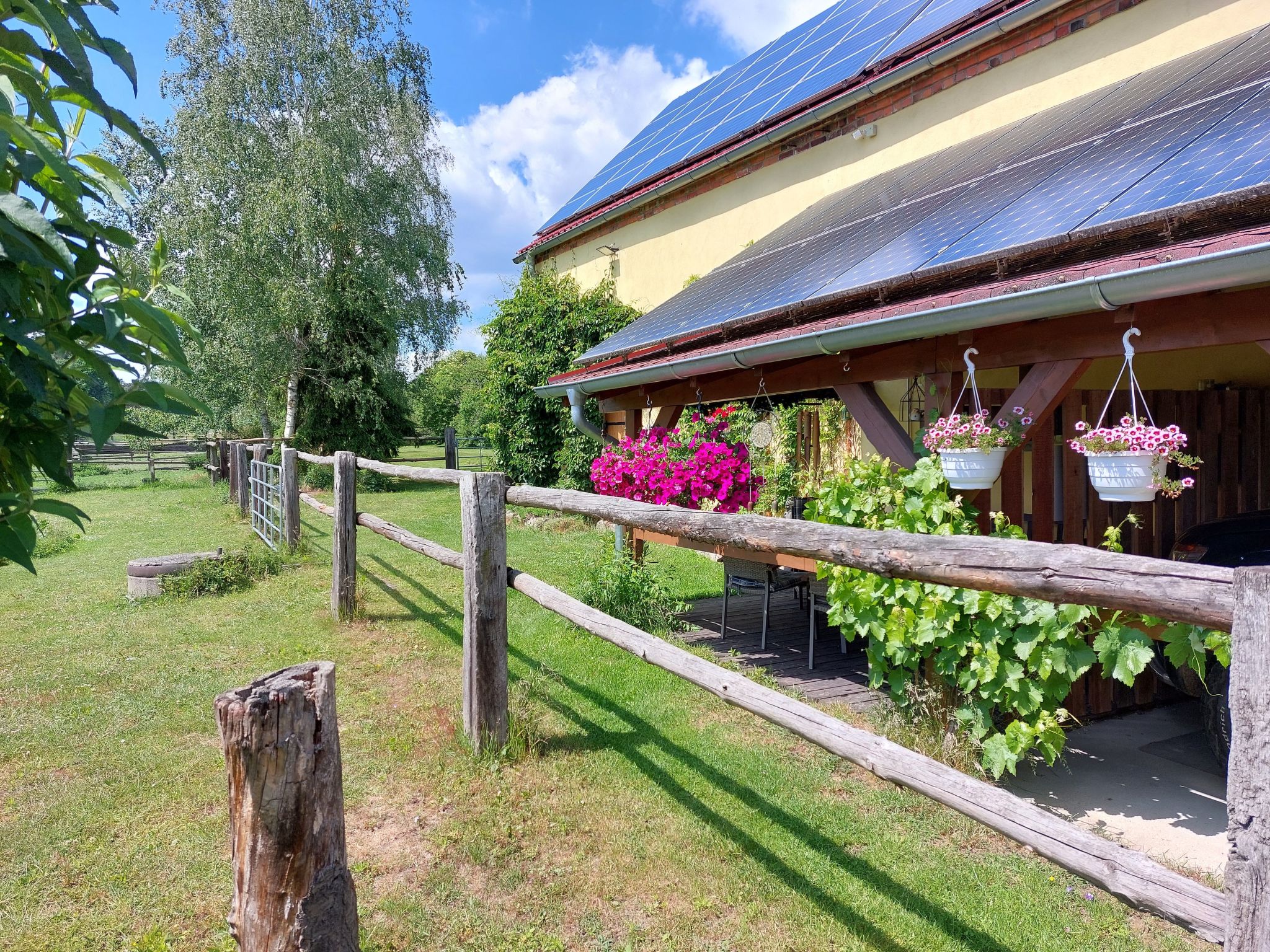 Alte Schmiede-Draußen