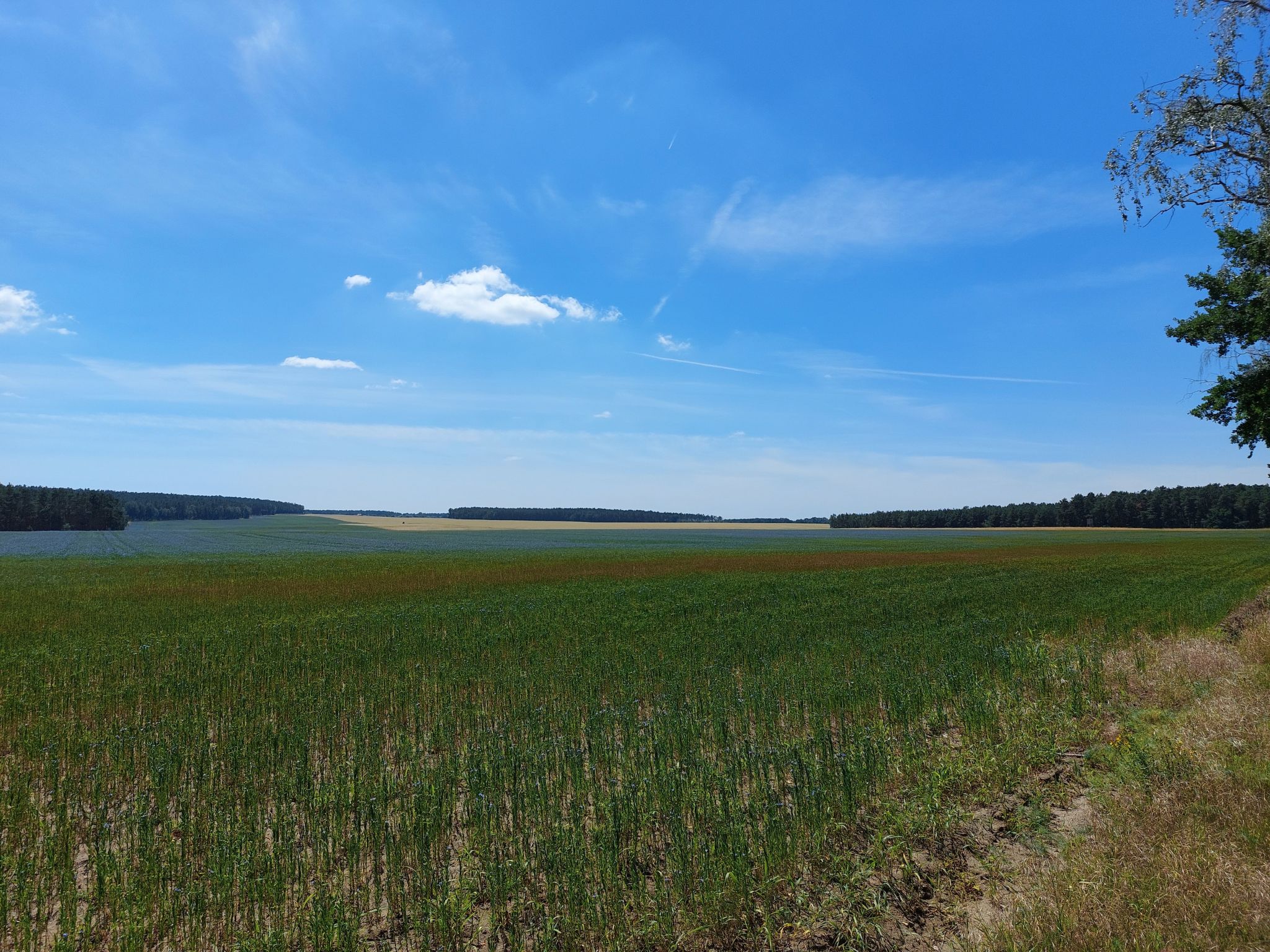 Alte Schmiede-Draußen